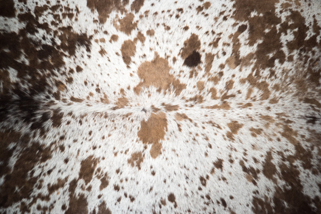 Nguni Cowhide Coloring, Explained