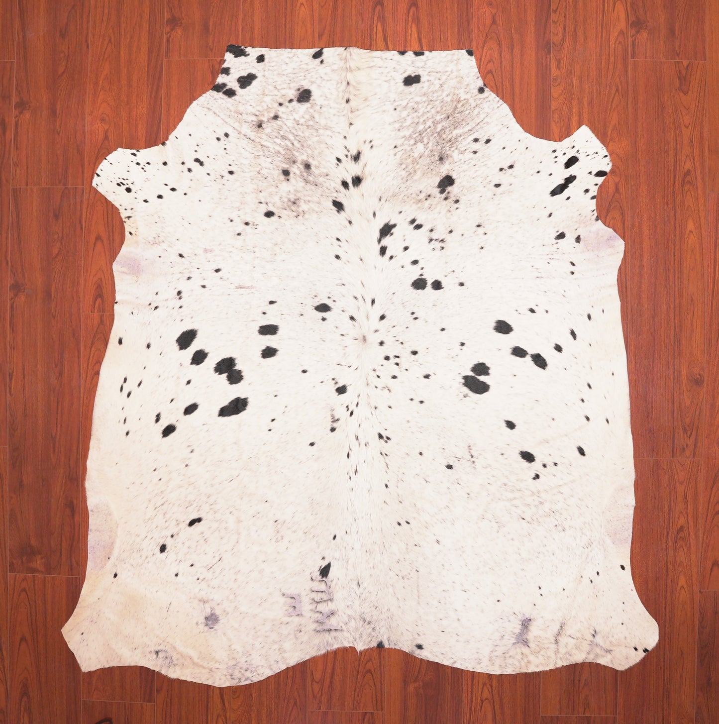 AS Grade Nguni Hide 043 (Black/White)