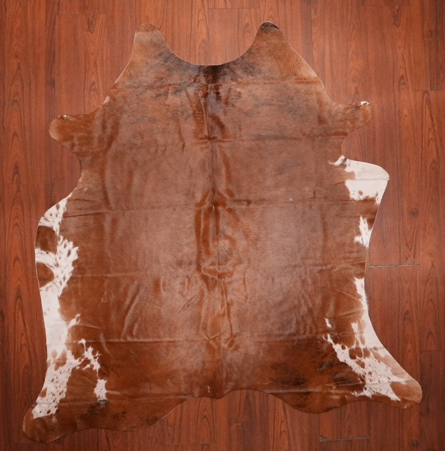AA Grade Nguni Hide 736 (Brown) (S)