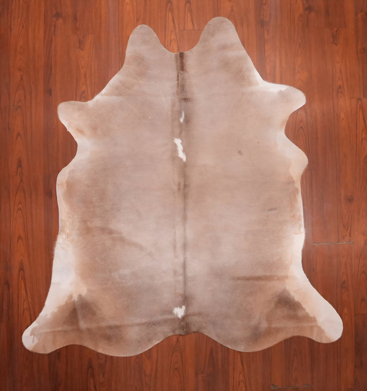 AA Grade Nguni Hide 725 (Dun) (S)
