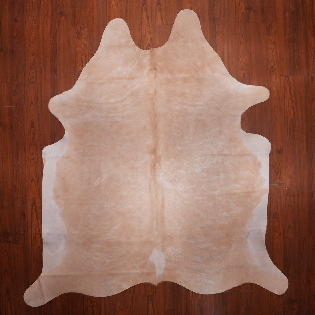 AA Grade Nguni Hide 746 (Caramel) (M)