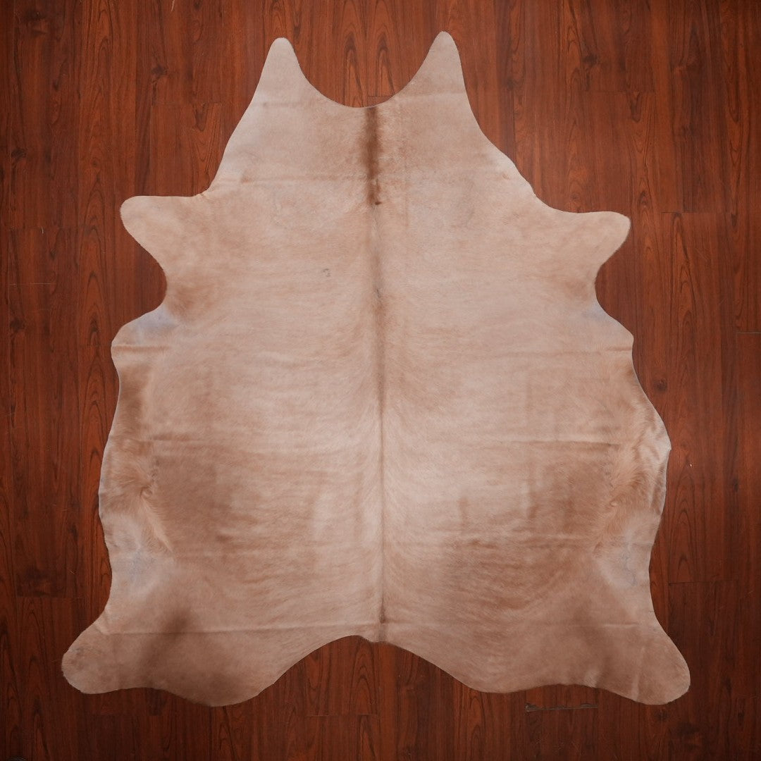 AA Grade Nguni Hide 747 (Caramel) (L)