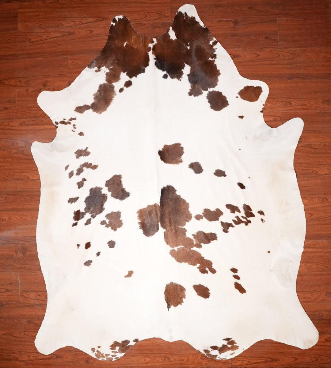 The Nguni Guy Nguni cowhide African decor Authentic cowhide Home decor Interior design Unique pattern Hand-selected Premium quality Natural beauty Exotic rug Genuine hide Statement piece Contemporary style Ethically sourced Sustainable decor Versatile accent Luxury rug Designer piece Modern aesthetic High-end craftsmanship Timeless elegance Designer home accents