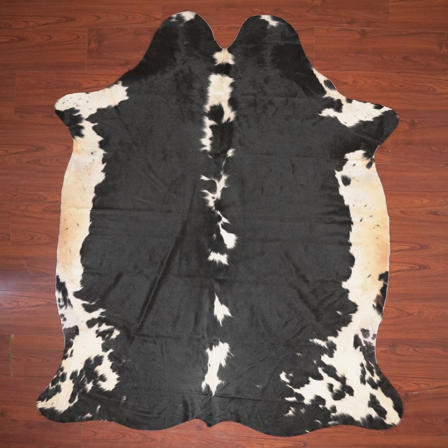 The Nguni Guy Nguni cowhide African decor Authentic cowhide Home decor Interior design Unique pattern Hand-selected Premium quality Natural beauty Exotic rug Genuine hide Statement piece Contemporary style Ethically sourced Sustainable decor Versatile accent Luxury rug Designer piece Modern aesthetic High-end craftsmanship Timeless elegance Designer home accents