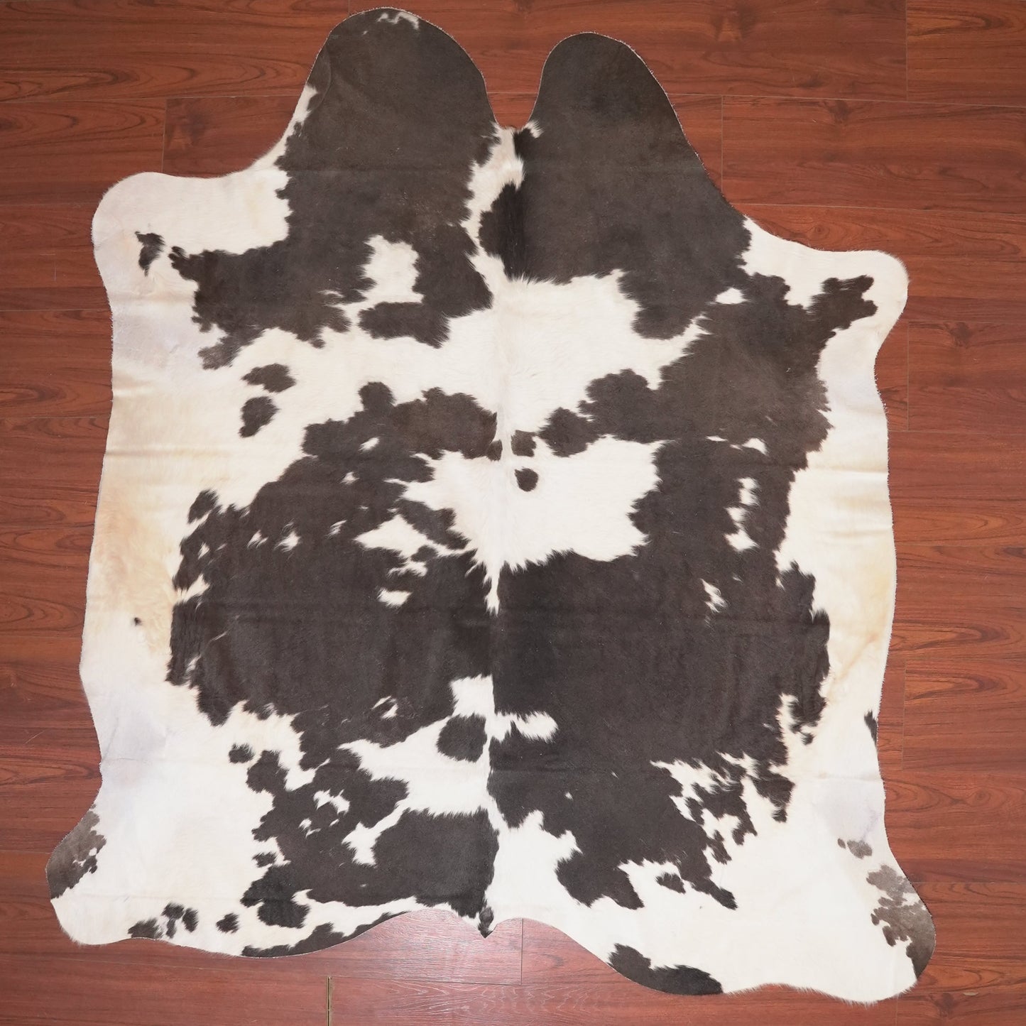 The Nguni Guy Nguni cowhide African decor Authentic cowhide Home decor Interior design Unique pattern Hand-selected Premium quality Natural beauty Exotic rug Genuine hide Statement piece Contemporary style Ethically sourced Sustainable decor Versatile accent Luxury rug Designer piece Modern aesthetic High-end craftsmanship Timeless elegance Designer home accents