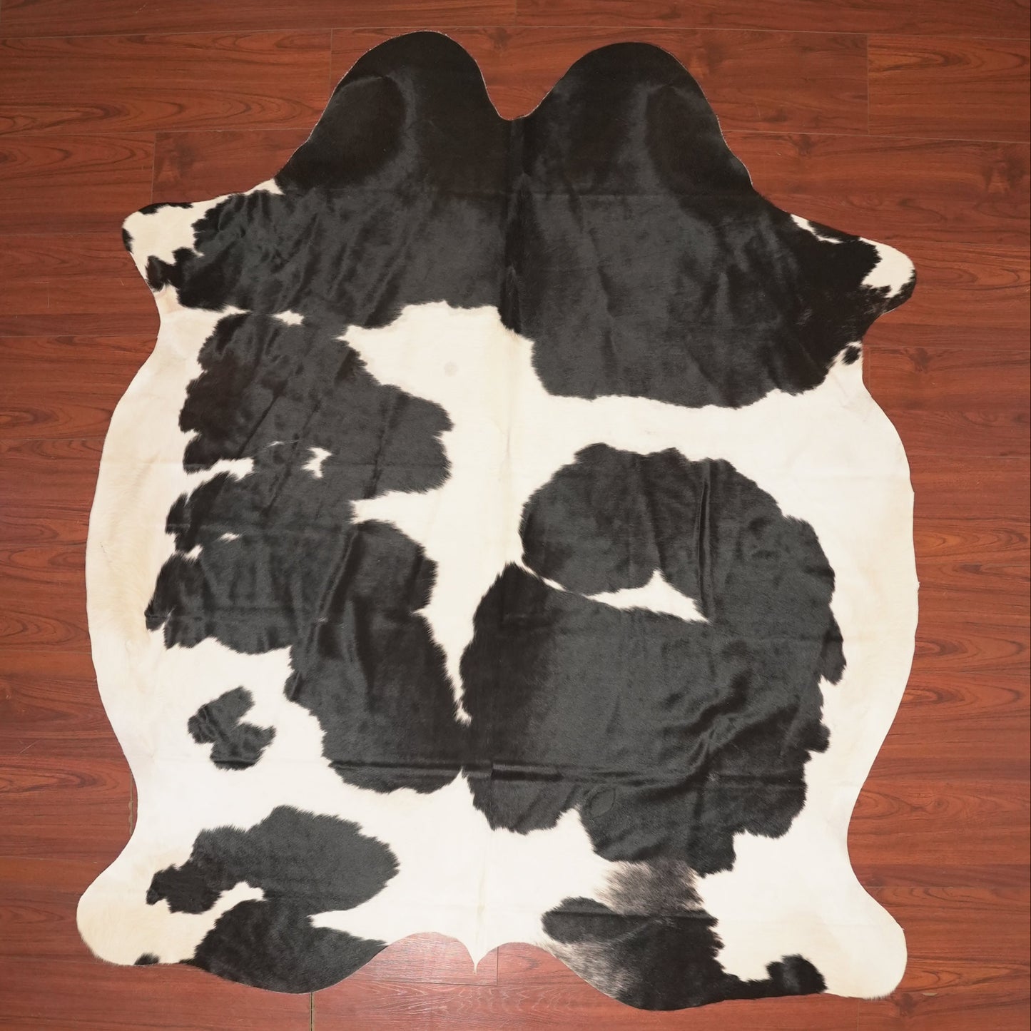 The Nguni Guy Nguni cowhide African decor Authentic cowhide Home decor Interior design Unique pattern Hand-selected Premium quality Natural beauty Exotic rug Genuine hide Statement piece Contemporary style Ethically sourced Sustainable decor Versatile accent Luxury rug Designer piece Modern aesthetic High-end craftsmanship Timeless elegance Designer home accents