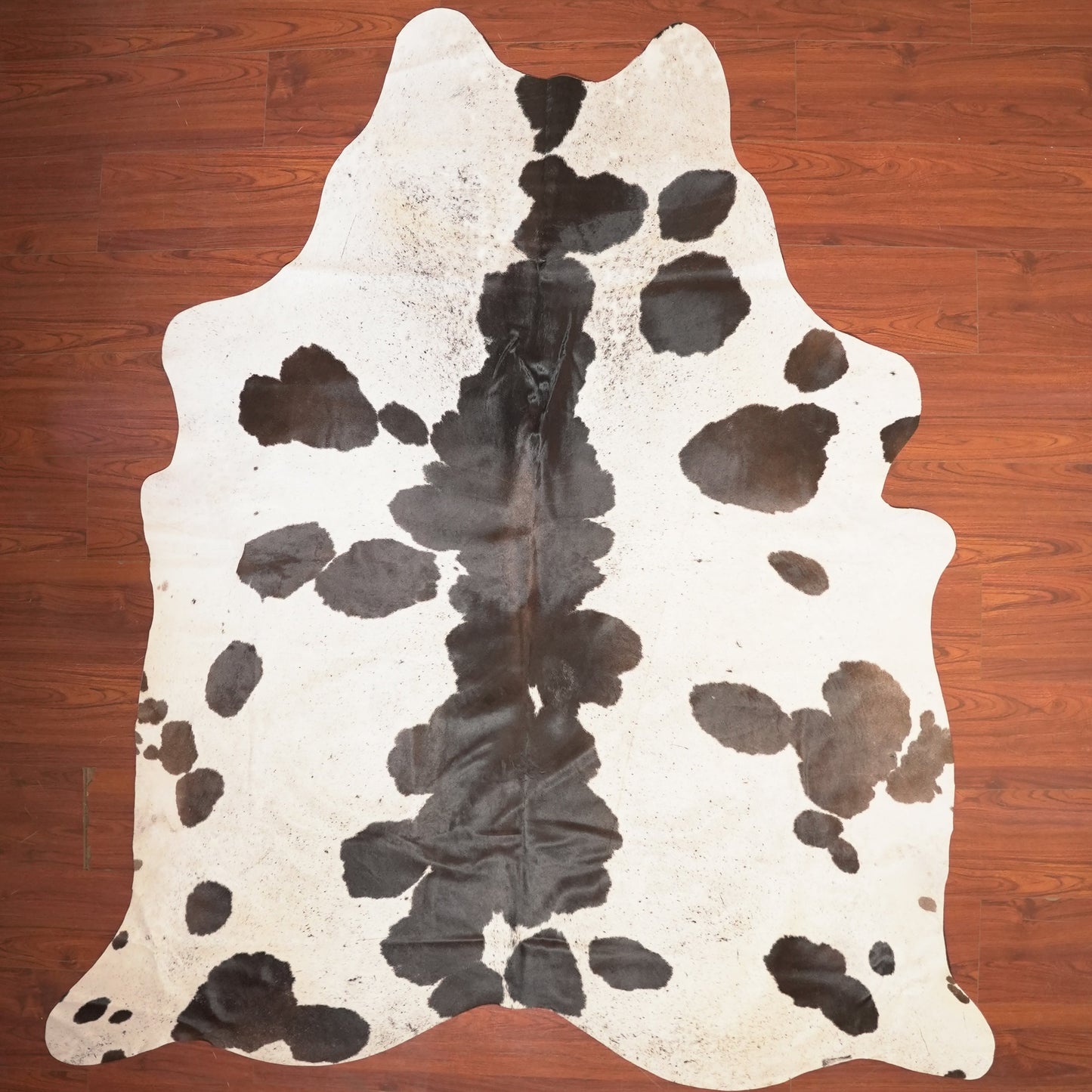 The Nguni Guy Nguni cowhide African decor Authentic cowhide Home decor Interior design Unique pattern Hand-selected Premium quality Natural beauty Exotic rug Genuine hide Statement piece Contemporary style Ethically sourced Sustainable decor Versatile accent Luxury rug Designer piece Modern aesthetic High-end craftsmanship Timeless elegance Designer home accents