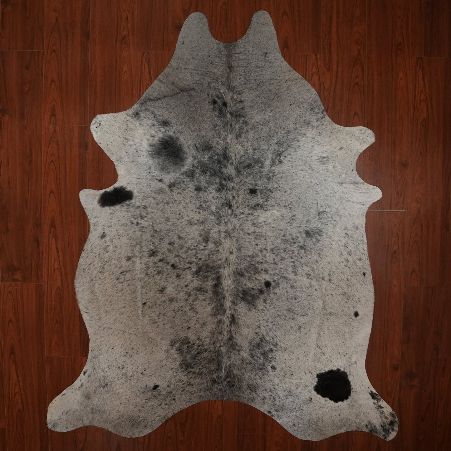 The Nguni Guy Nguni cowhide African decor Authentic cowhide Home decor Interior design Unique pattern Hand-selected Premium quality Natural beauty Exotic rug Genuine hide Statement piece Contemporary style Ethically sourced Sustainable decor Versatile accent Luxury rug Designer piece Modern aesthetic High-end craftsmanship Timeless elegance Designer home accents