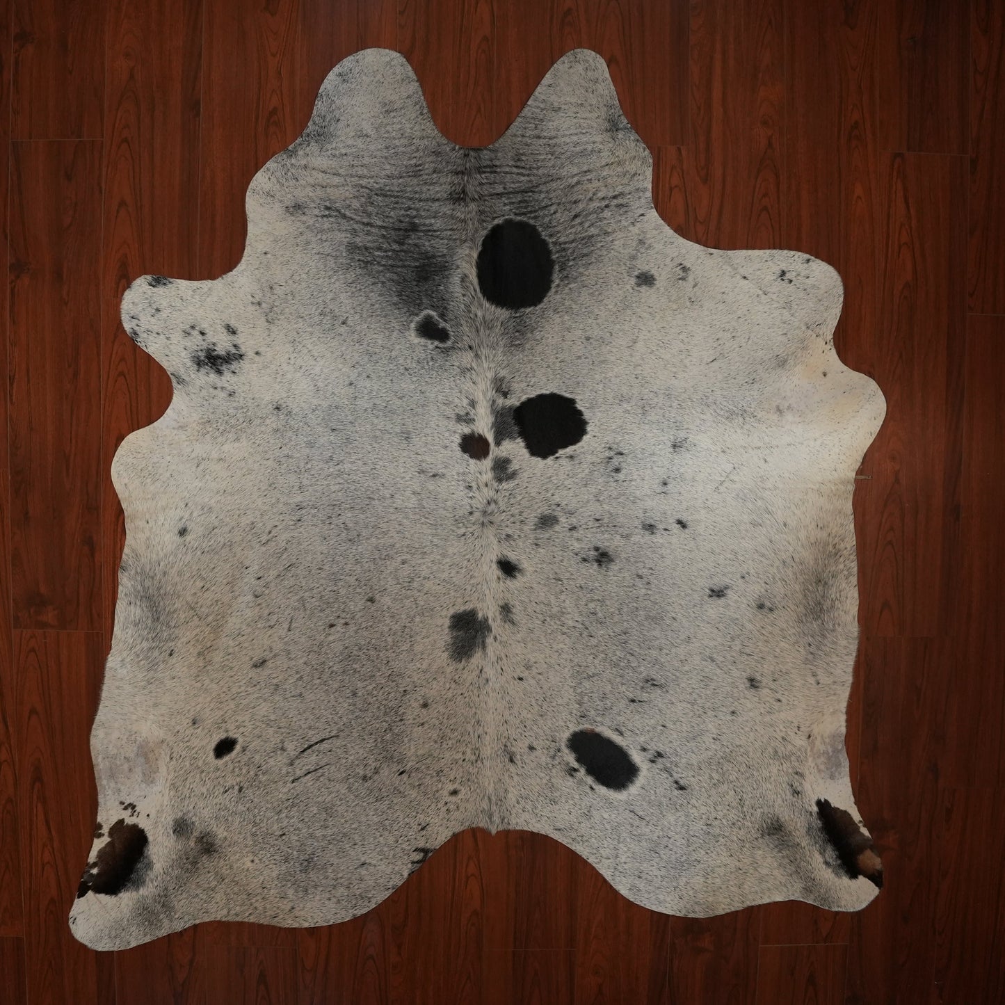 The Nguni Guy Nguni cowhide African decor Authentic cowhide Home decor Interior design Unique pattern Hand-selected Premium quality Natural beauty Exotic rug Genuine hide Statement piece Contemporary style Ethically sourced Sustainable decor Versatile accent Luxury rug Designer piece Modern aesthetic High-end craftsmanship Timeless elegance Designer home accents