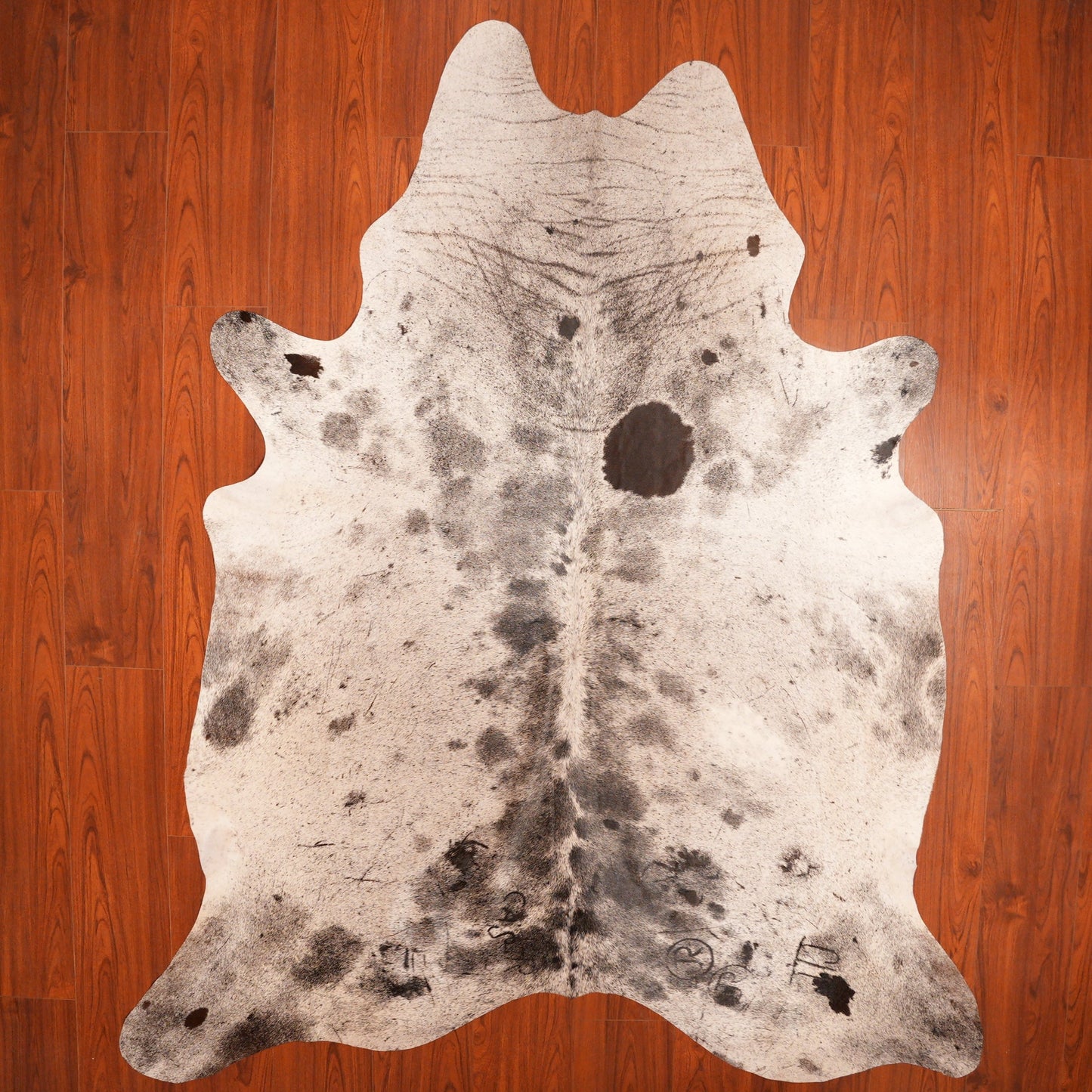 The Nguni Guy Nguni cowhide African decor Authentic cowhide Home decor Interior design Unique pattern Hand-selected Premium quality Natural beauty Exotic rug Genuine hide Statement piece Contemporary style Ethically sourced Sustainable decor Versatile accent Luxury rug Designer piece Modern aesthetic High-end craftsmanship Timeless elegance Designer home accents