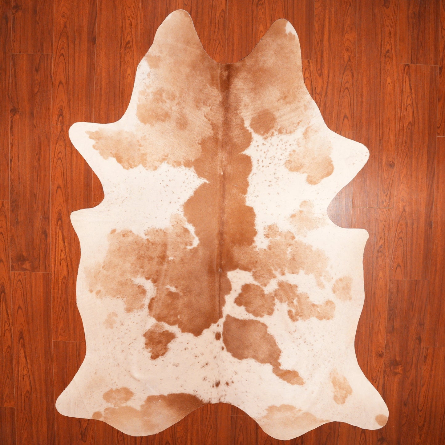 The Nguni Guy Nguni cowhide African decor Authentic cowhide Home decor Interior design Unique pattern Hand-selected Premium quality Natural beauty Exotic rug Genuine hide Statement piece Contemporary style Ethically sourced Sustainable decor Versatile accent Luxury rug Designer piece Modern aesthetic High-end craftsmanship Timeless elegance Designer home accents