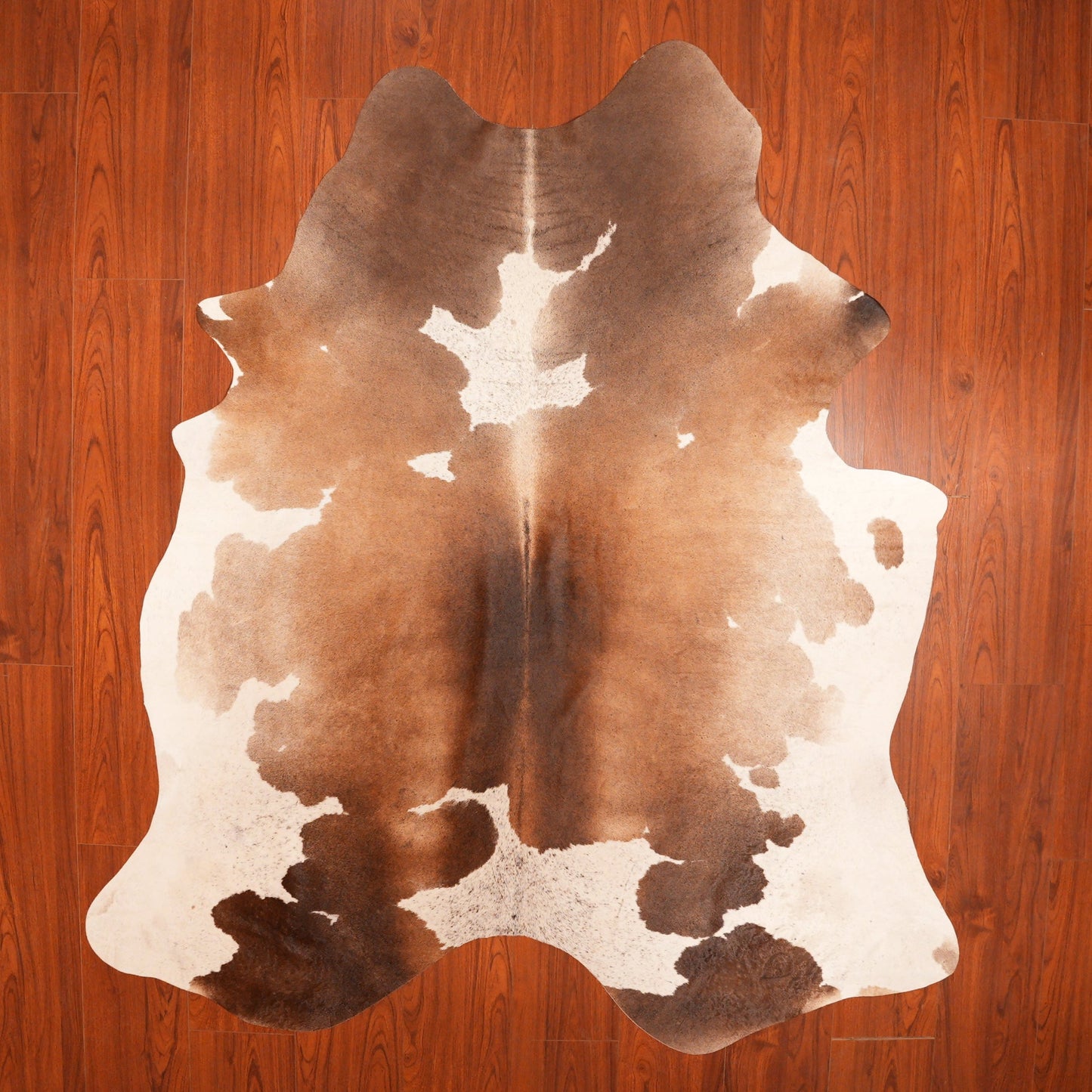 The Nguni Guy Nguni cowhide African decor Authentic cowhide Home decor Interior design Unique pattern Hand-selected Premium quality Natural beauty Exotic rug Genuine hide Statement piece Contemporary style Ethically sourced Sustainable decor Versatile accent Luxury rug Designer piece Modern aesthetic High-end craftsmanship Timeless elegance Designer home accents