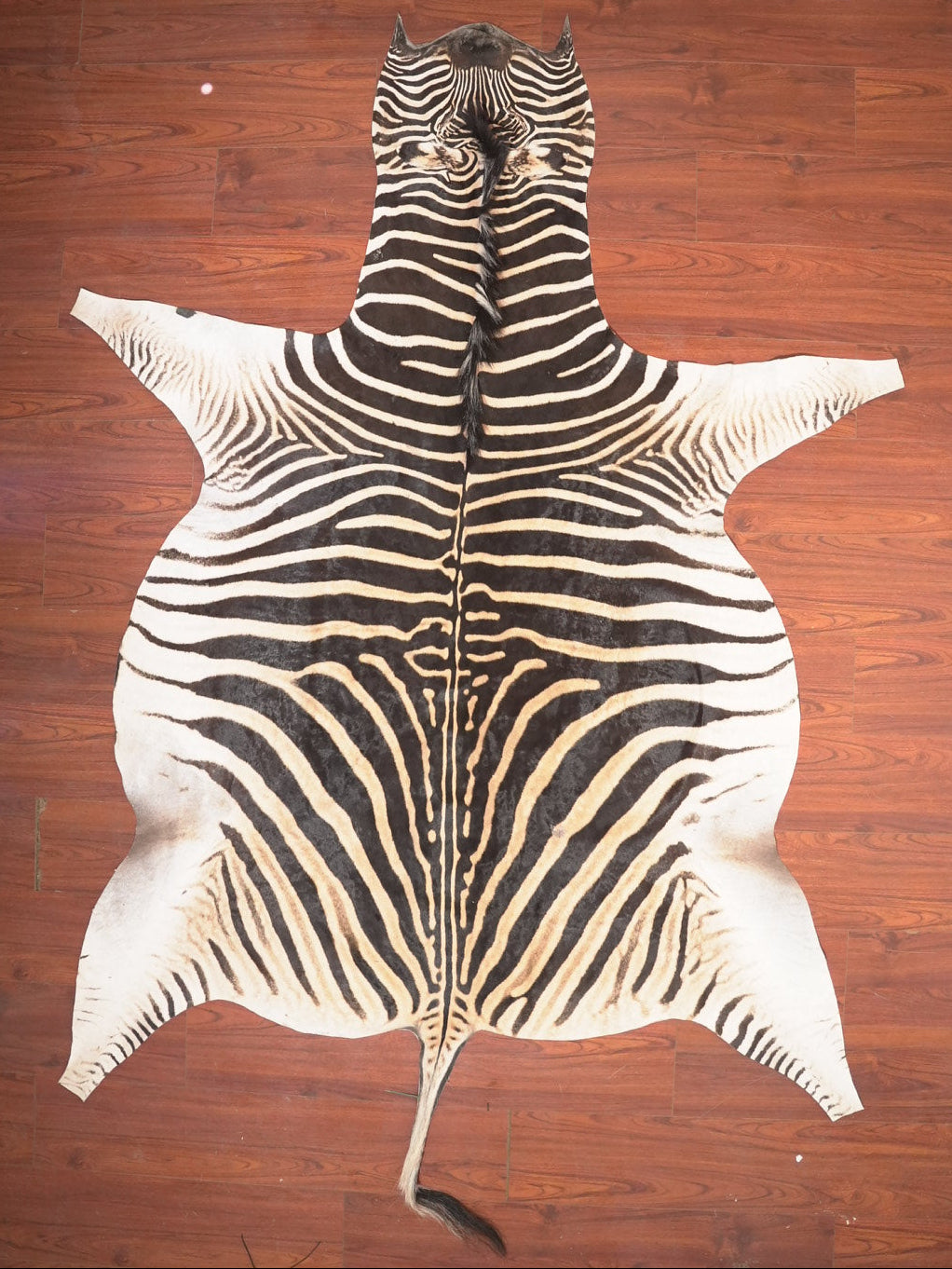 Zebra skin rug on a wooden floor