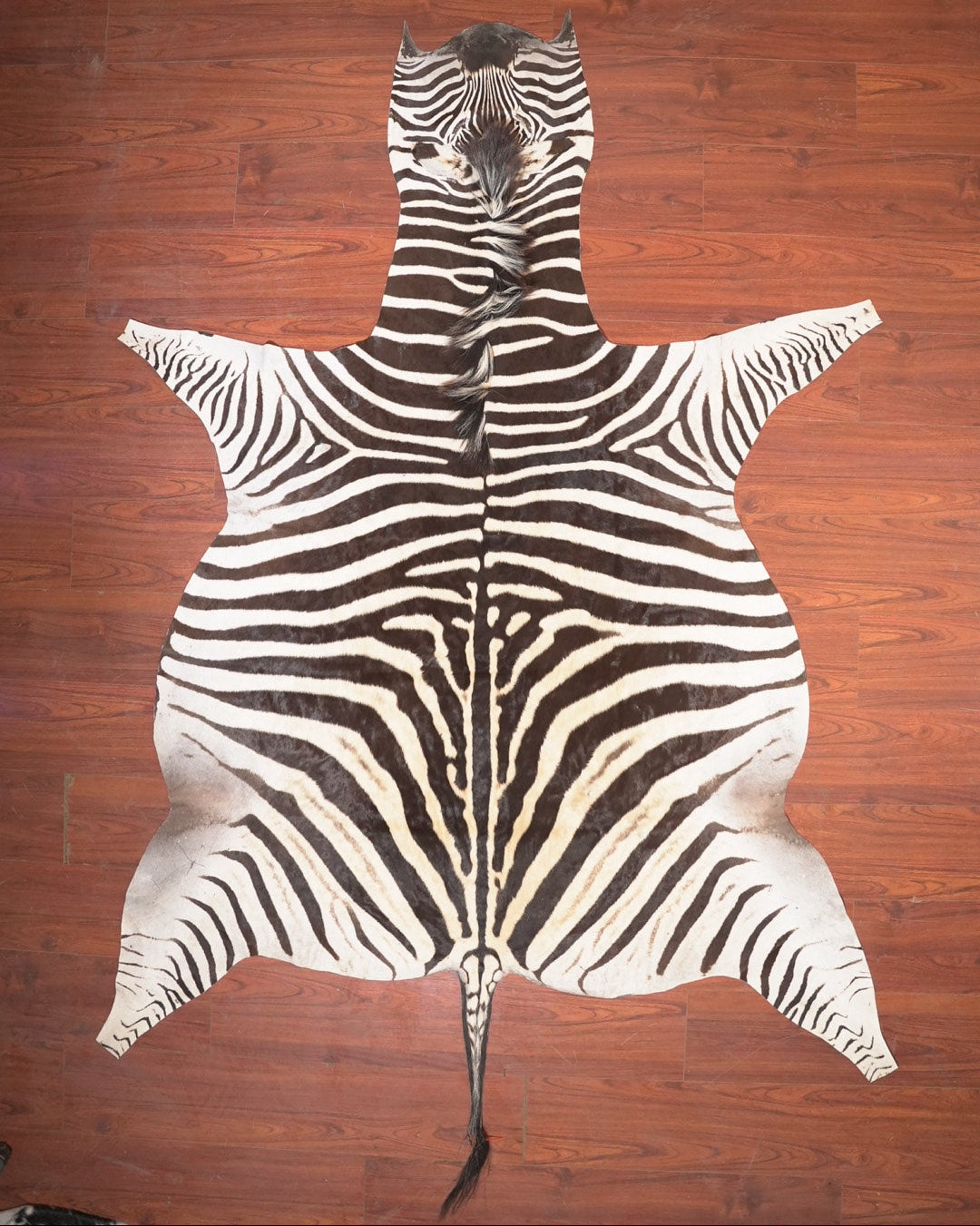 The Nguni Guy Nguni zebra hide African decor Authentic zebra skin Home decor Interior design Unique pattern Hand-selected Premium quality Natural beauty Exotic rug Genuine hide Statement piece Contemporary style Ethically sourced Sustainable decor Versatile accent Luxury rug Designer piece Modern aesthetic High-end craftsmanship Timeless elegance Designer home accents