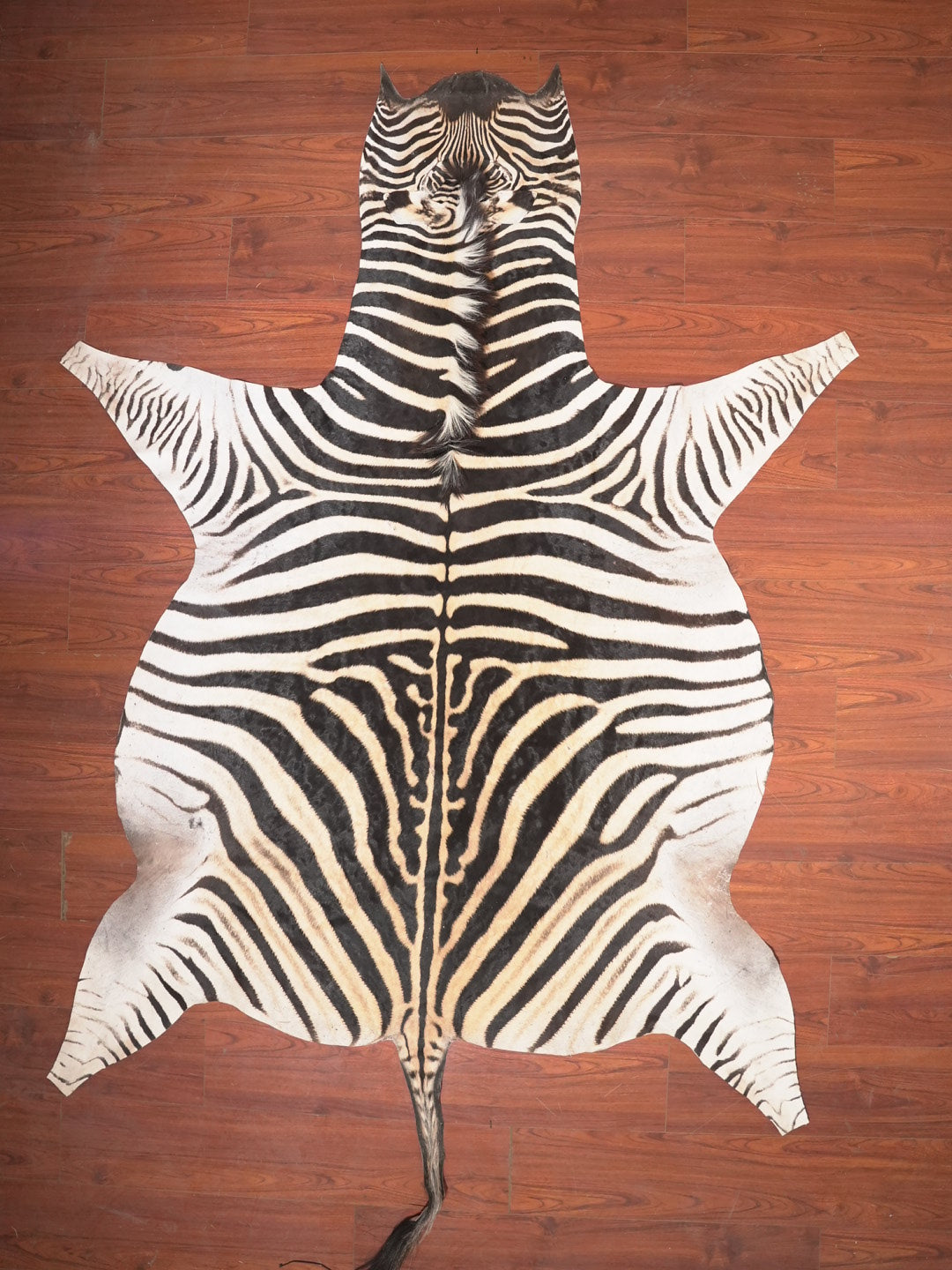 The Nguni Guy Nguni zebra hide African decor Authentic zebra skin Home decor Interior design Unique pattern Hand-selected Premium quality Natural beauty Exotic rug Genuine hide Statement piece Contemporary style Ethically sourced Sustainable decor Versatile accent Luxury rug Designer piece Modern aesthetic High-end craftsmanship Timeless elegance Designer home accents