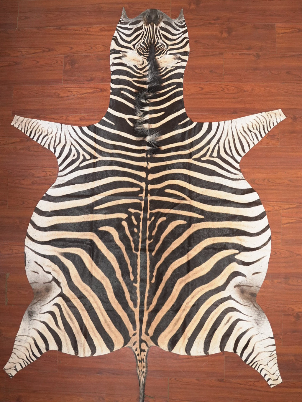 The Nguni Guy Nguni zebra hide African decor Authentic zebra skin Home decor Interior design Unique pattern Hand-selected Premium quality Natural beauty Exotic rug Genuine hide Statement piece Contemporary style Ethically sourced Sustainable decor Versatile accent Luxury rug Designer piece Modern aesthetic High-end craftsmanship Timeless elegance Designer home accents