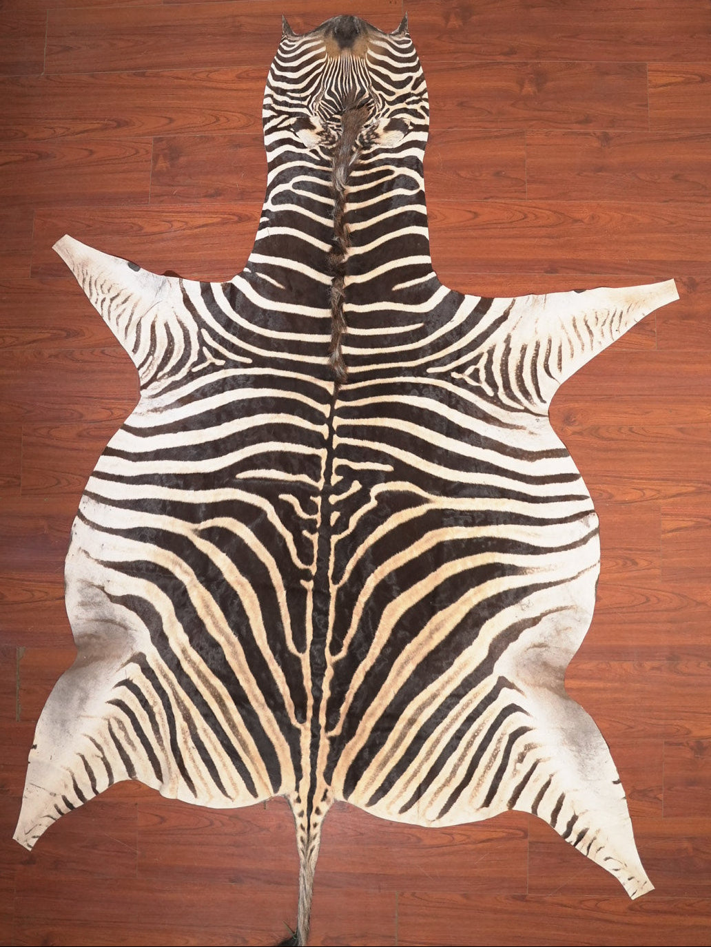 The Nguni Guy Nguni zebra hide African decor Authentic zebra skin Home decor Interior design Unique pattern Hand-selected Premium quality Natural beauty Exotic rug Genuine hide Statement piece Contemporary style Ethically sourced Sustainable decor Versatile accent Luxury rug Designer piece Modern aesthetic High-end craftsmanship Timeless elegance Designer home accents