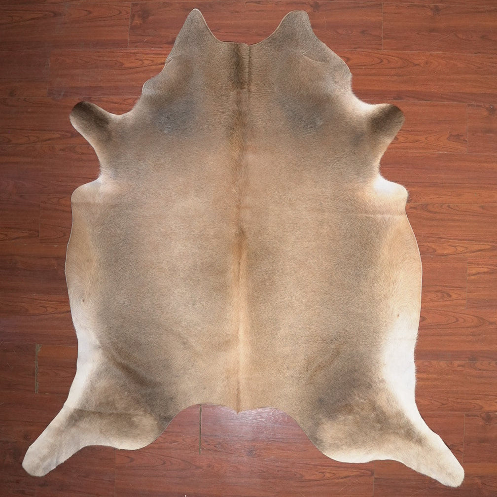 The Nguni Guy Nguni cowhide African decor Authentic cowhide Home decor Interior design Unique pattern Hand-selected Premium quality Natural beauty Exotic rug Genuine hide Statement piece Contemporary style Ethically sourced Sustainable decor Versatile accent Luxury rug Designer piece Modern aesthetic High-end craftsmanship Timeless elegance Designer home accents