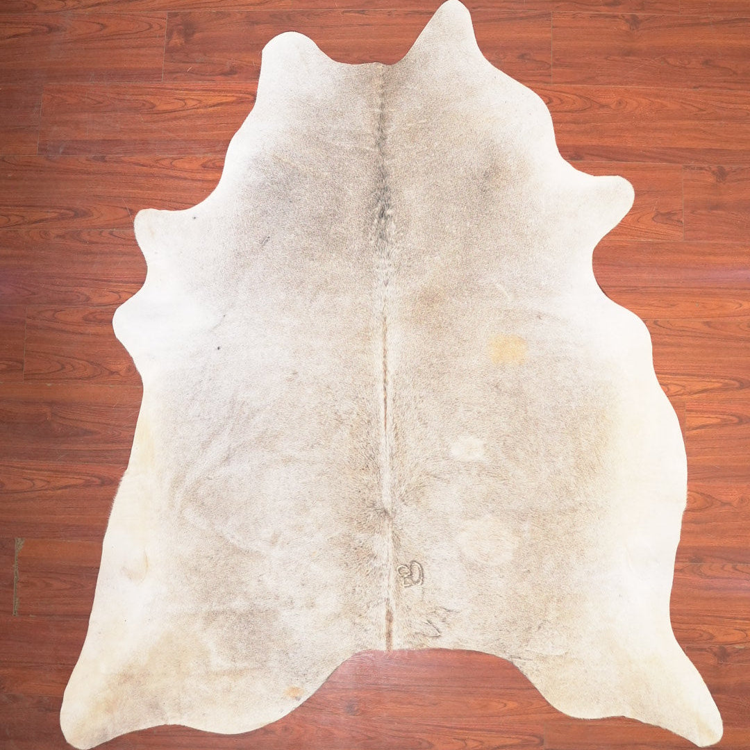 The Nguni Guy Nguni cowhide African decor Authentic cowhide Home decor Interior design Unique pattern Hand-selected Premium quality Natural beauty Exotic rug Genuine hide Statement piece Contemporary style Ethically sourced Sustainable decor Versatile accent Luxury rug Designer piece Modern aesthetic High-end craftsmanship Timeless elegance Designer home accents