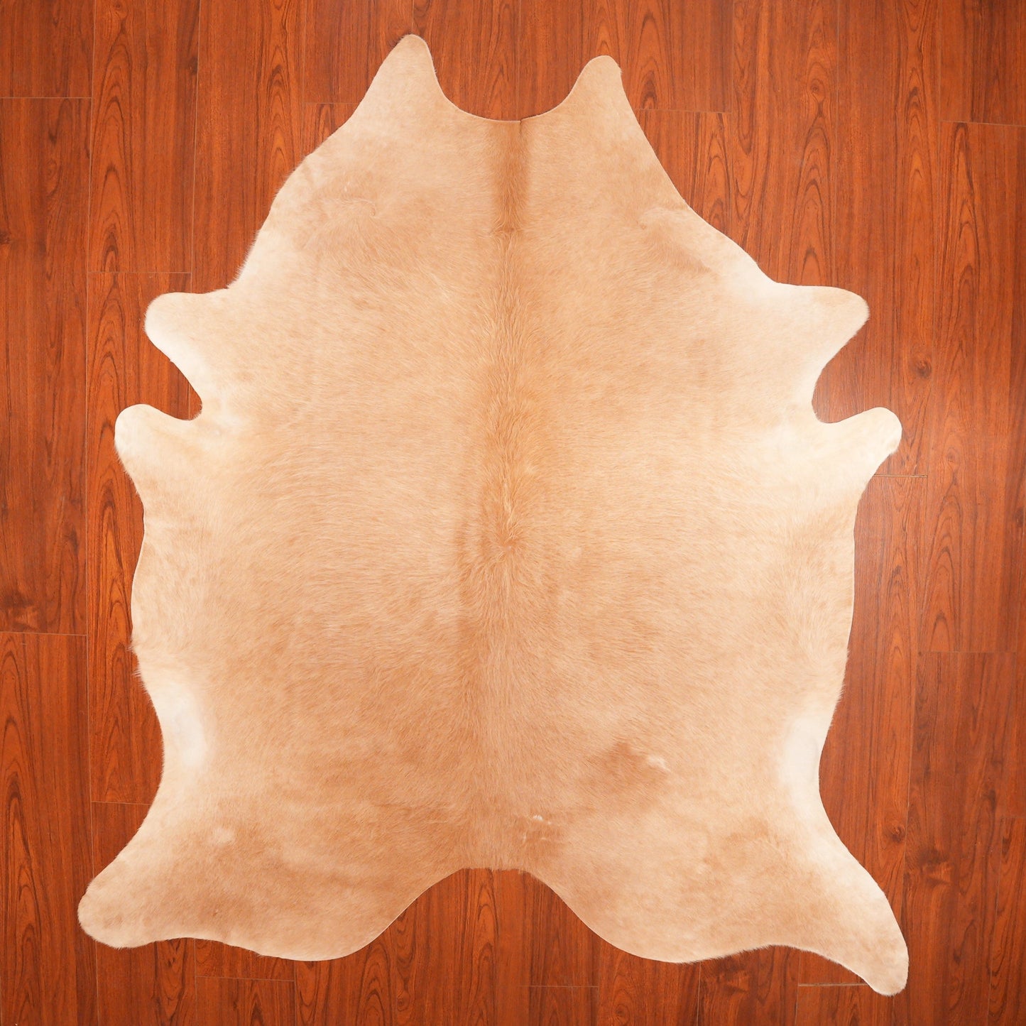 The Nguni Guy Nguni cowhide African decor Authentic cowhide Home decor Interior design Unique pattern Hand-selected Premium quality Natural beauty Exotic rug Genuine hide Statement piece Contemporary style Ethically sourced Sustainable decor Versatile accent Luxury rug Designer piece Modern aesthetic High-end craftsmanship Timeless elegance Designer home accents