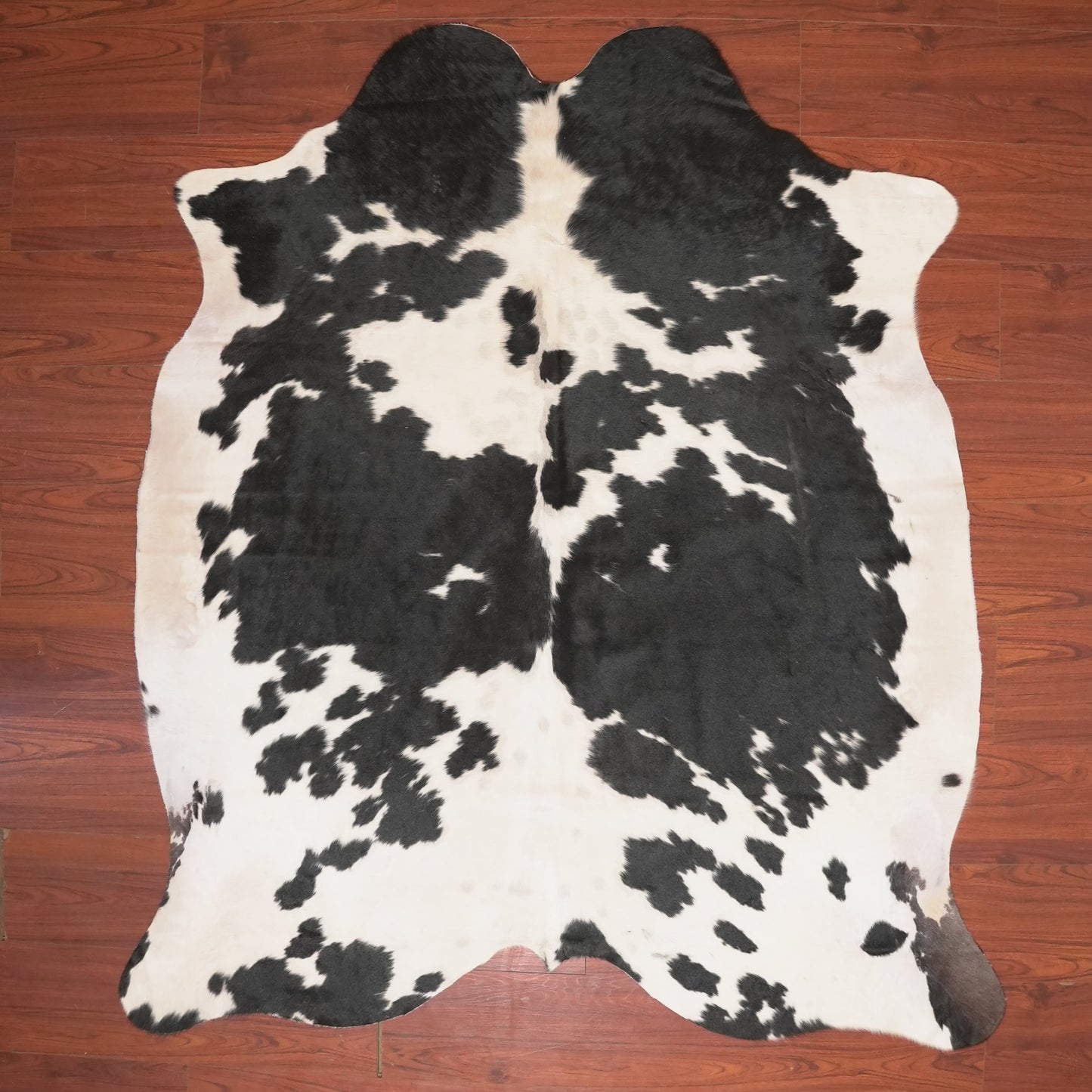 The Nguni Guy Nguni cowhide African decor Authentic cowhide Home decor Interior design Unique pattern Hand-selected Premium quality Natural beauty Exotic rug Genuine hide Statement piece Contemporary style Ethically sourced Sustainable decor Versatile accent Luxury rug Designer piece Modern aesthetic High-end craftsmanship Timeless elegance Designer home accents