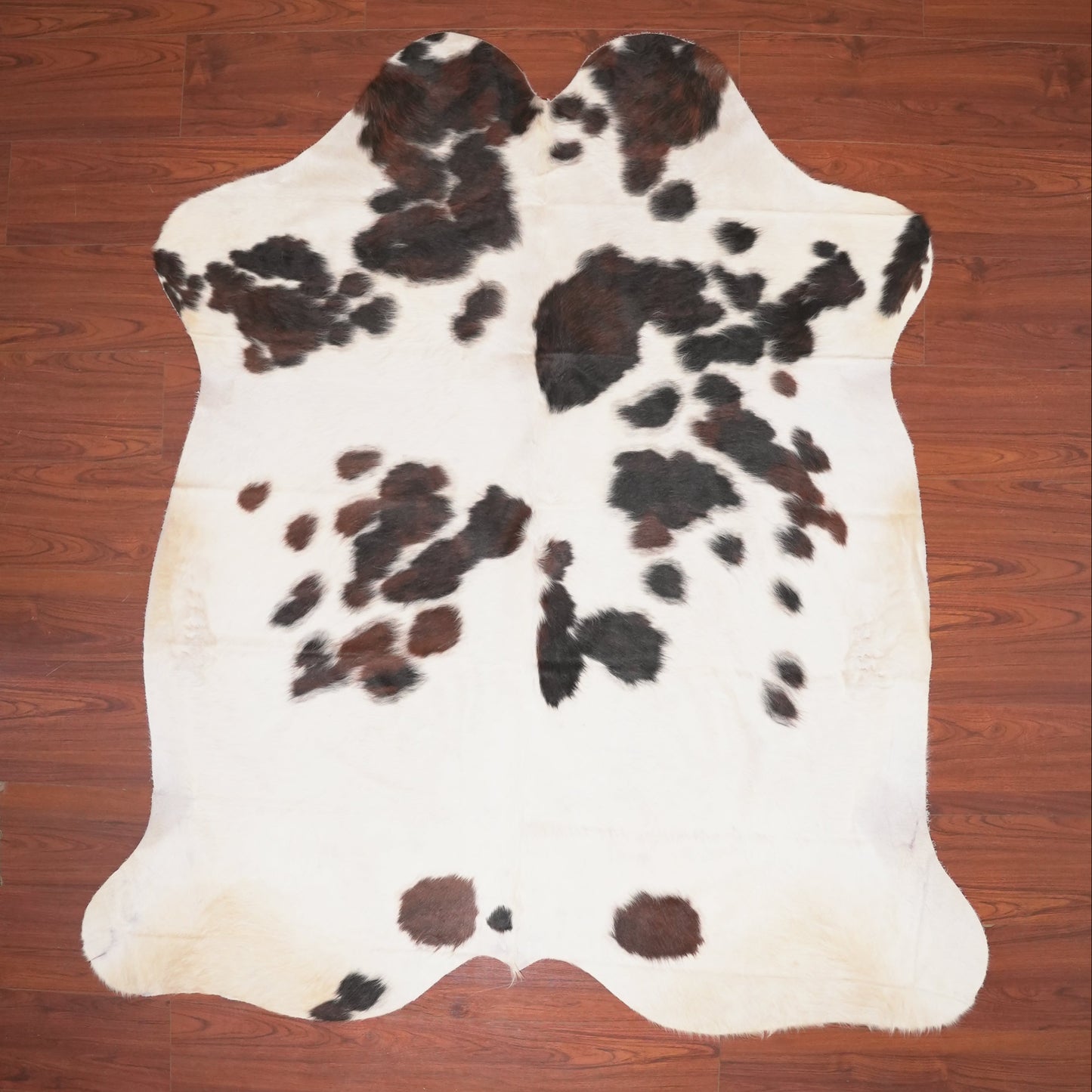The Nguni Guy Nguni cowhide African decor Authentic cowhide Home decor Interior design Unique pattern Hand-selected Premium quality Natural beauty Exotic rug Genuine hide Statement piece Contemporary style Ethically sourced Sustainable decor Versatile accent Luxury rug Designer piece Modern aesthetic High-end craftsmanship Timeless elegance Designer home accents