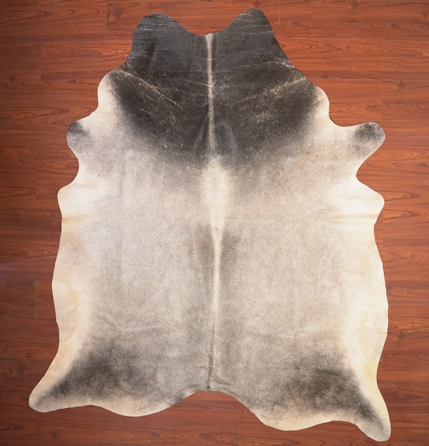 The Nguni Guy Nguni cowhide African decor Authentic cowhide Home decor Interior design Unique pattern Hand-selected Premium quality Natural beauty Exotic rug Genuine hide Statement piece Contemporary style Ethically sourced Sustainable decor Versatile accent Luxury rug Designer piece Modern aesthetic High-end craftsmanship Timeless elegance Designer home accents