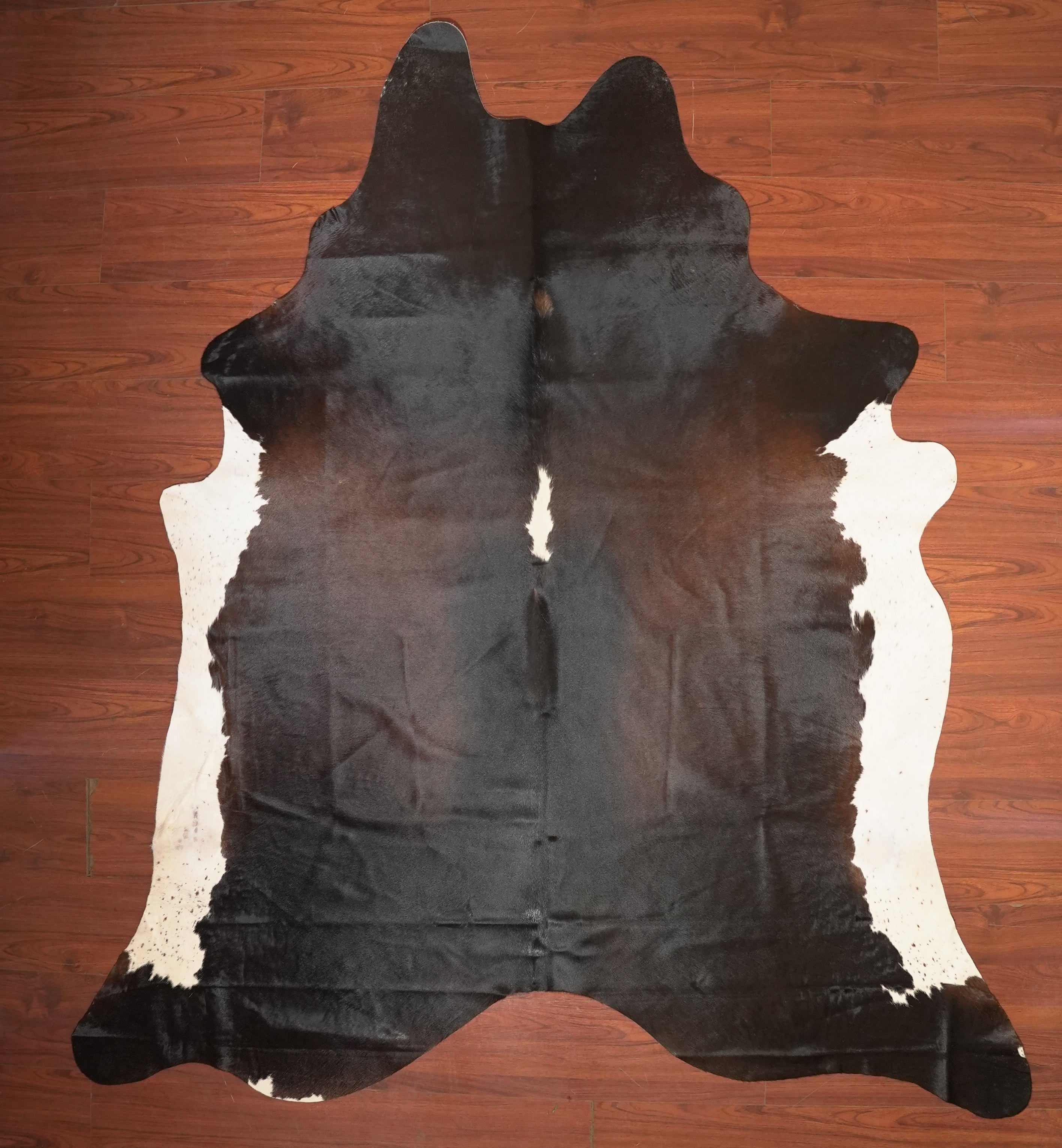 AA Grade Cow Hide 261 (Tricolour) (XXL) – The Nguni Guy
