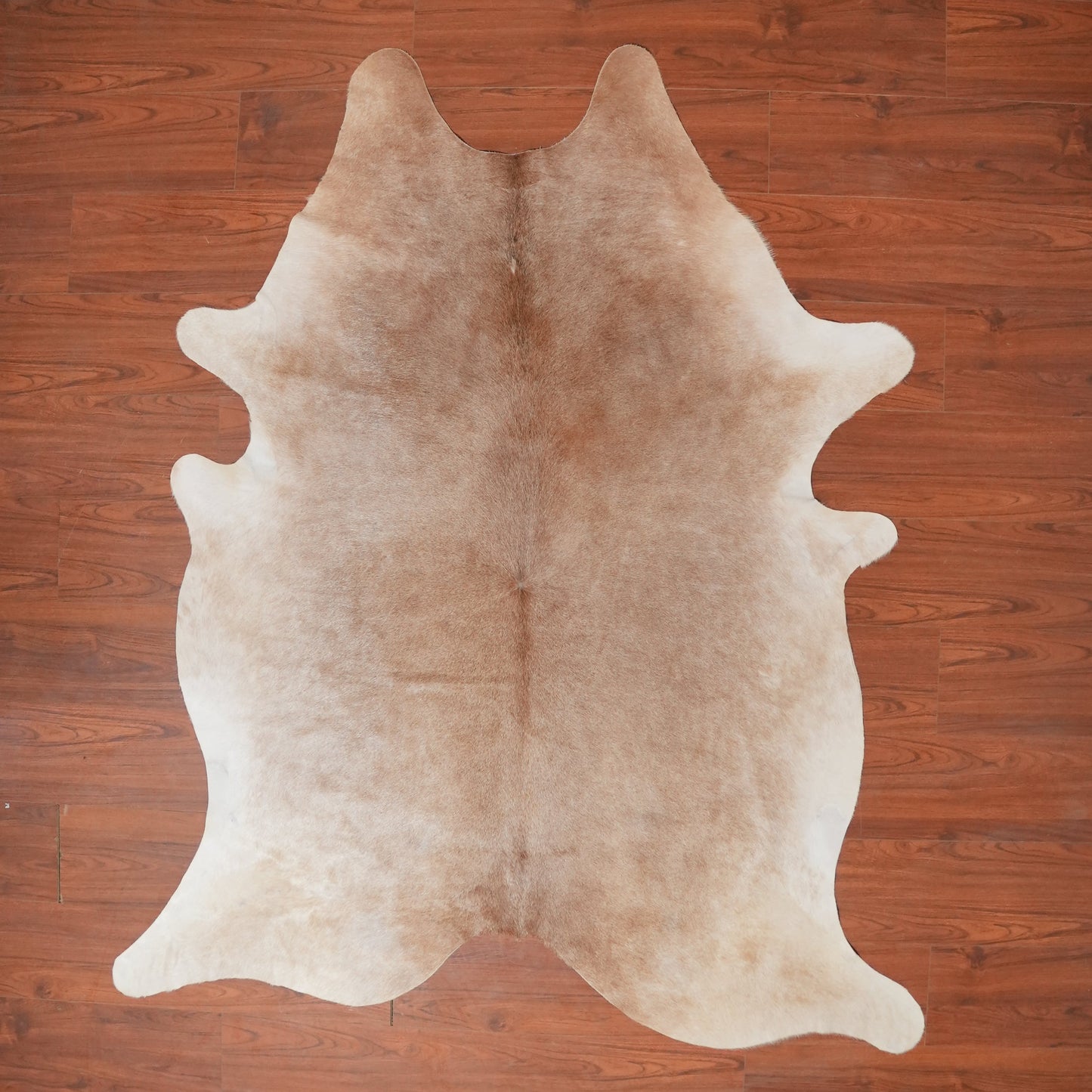 nguni cow hide rug decor