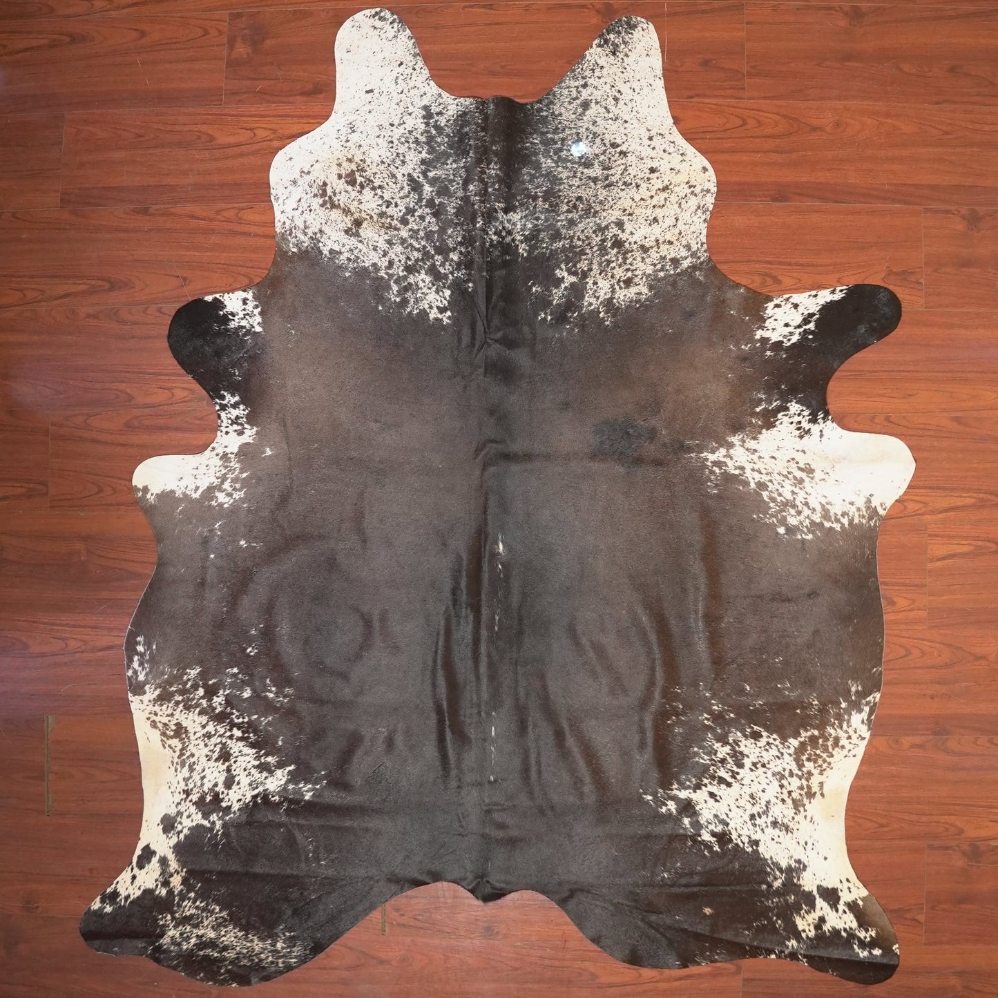 The Nguni Guy Nguni cowhide African decor Authentic cowhide Home decor Interior design Unique pattern Hand-selected Premium quality Natural beauty Exotic rug Genuine hide Statement piece Contemporary style Ethically sourced Sustainable decor Versatile accent Luxury rug Designer piece Modern aesthetic High-end craftsmanship Timeless elegance Designer home accents