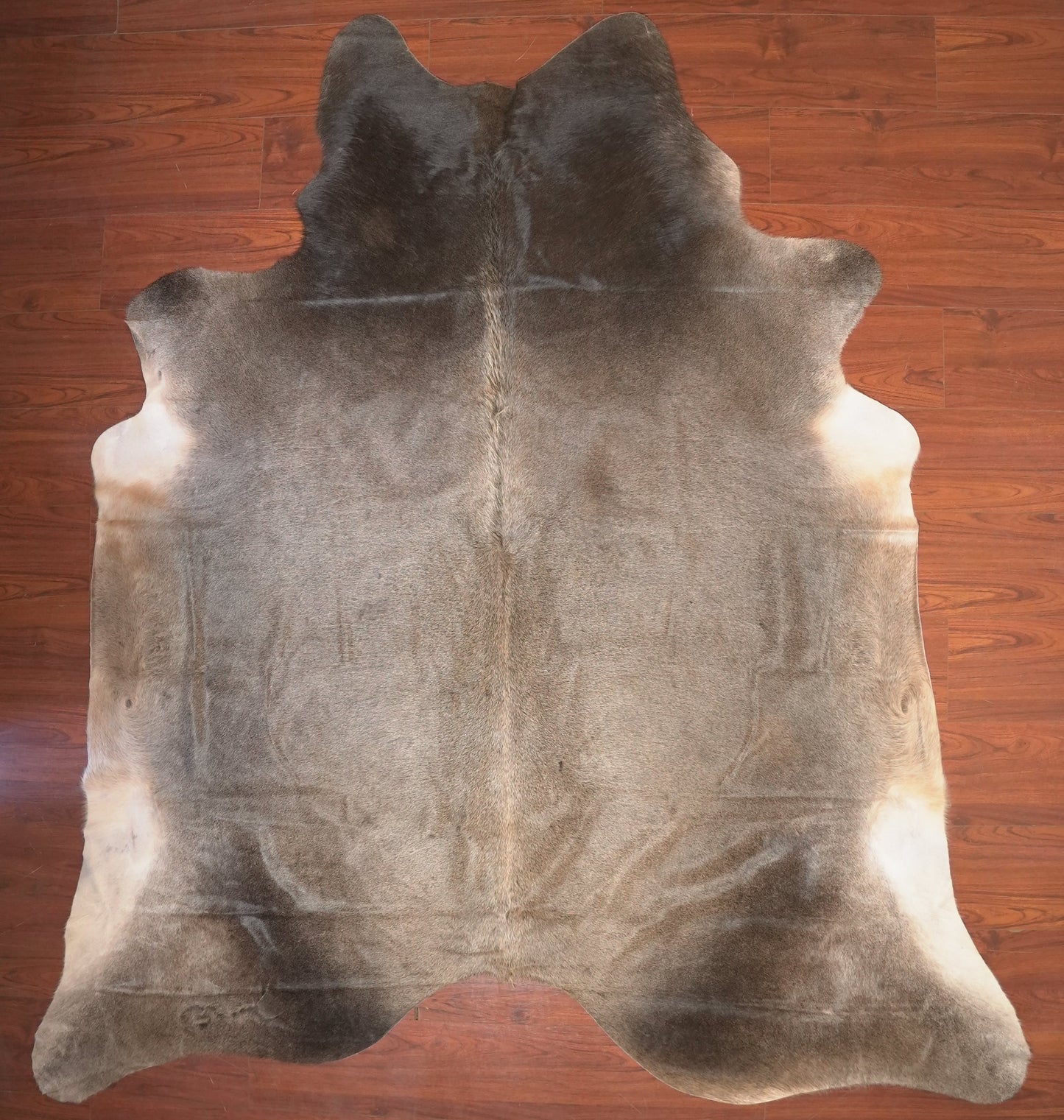 The Nguni Guy Nguni cowhide African decor Authentic cowhide Home decor Interior design Unique pattern Hand-selected Premium quality Natural beauty Exotic rug Genuine hide Statement piece Contemporary style Ethically sourced Sustainable decor Versatile accent Luxury rug Designer piece Modern aesthetic High-end craftsmanship Timeless elegance Designer home accents