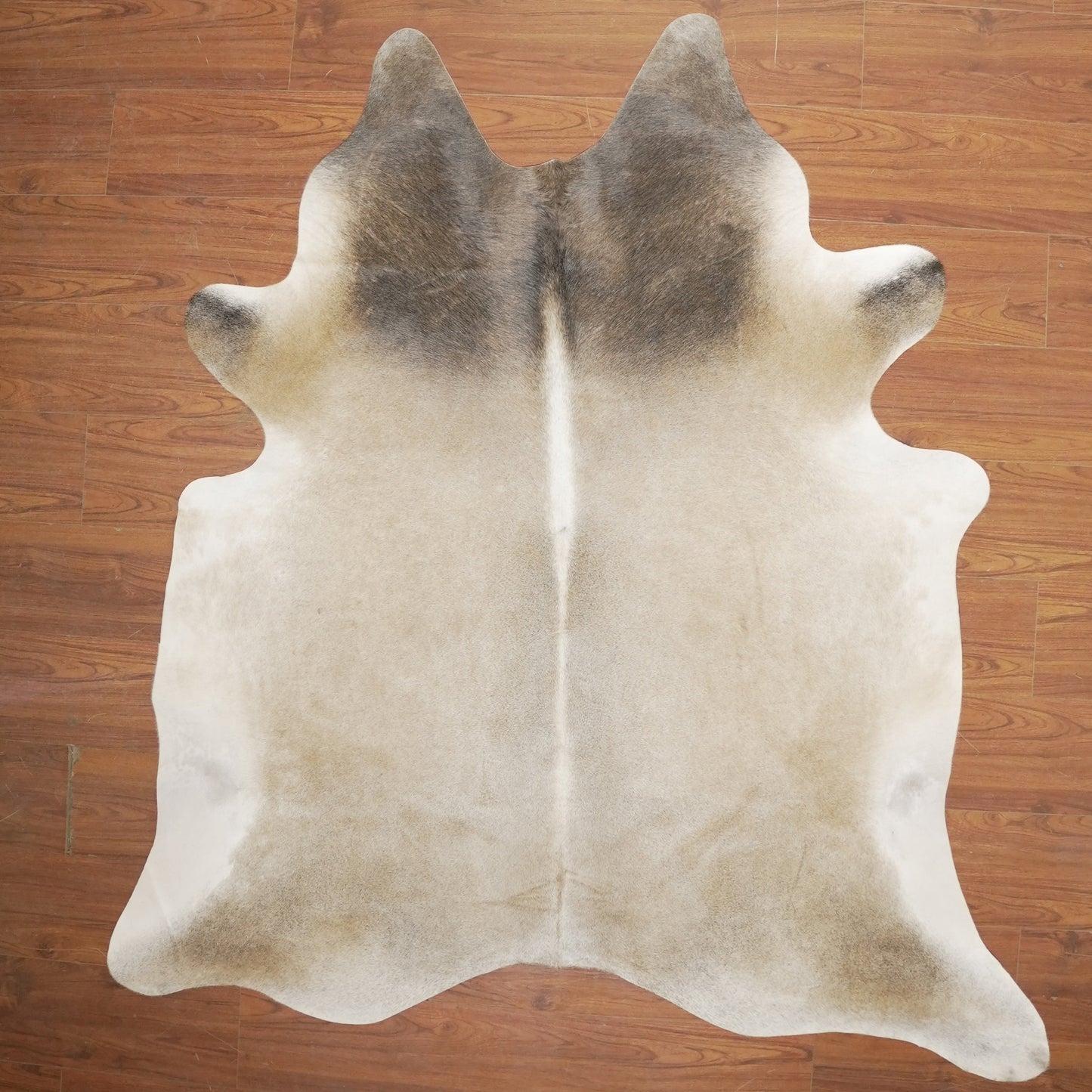 The Nguni Guy Nguni cowhide African decor Authentic cowhide Home decor Interior design Unique pattern Hand-selected Premium quality Natural beauty Exotic rug Genuine hide Statement piece Contemporary style Ethically sourced Sustainable decor Versatile accent Luxury rug Designer piece Modern aesthetic High-end craftsmanship Timeless elegance Designer home accents