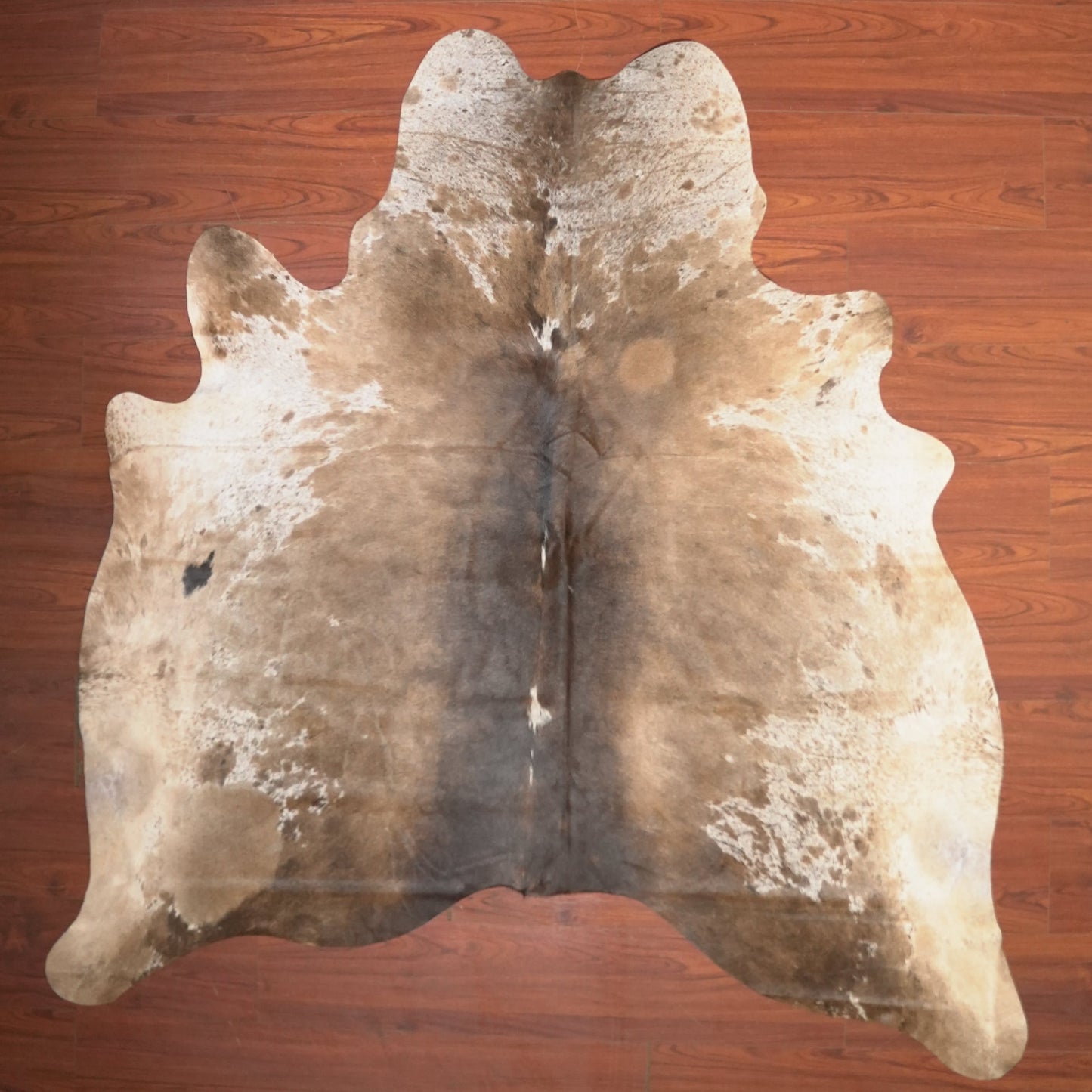 The Nguni Guy Nguni cowhide African decor Authentic cowhide Home decor Interior design Unique pattern Hand-selected Premium quality Natural beauty Exotic rug Genuine hide Statement piece Contemporary style Ethically sourced Sustainable decor Versatile accent Luxury rug Designer piece Modern aesthetic High-end craftsmanship Timeless elegance Designer home accents