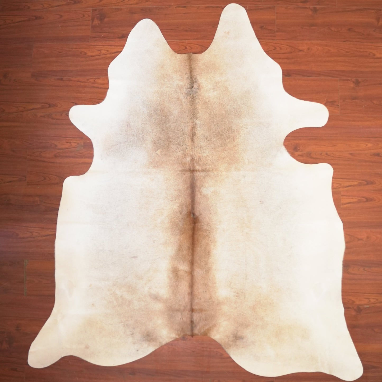 The Nguni Guy Nguni cowhide African decor Authentic cowhide Home decor Interior design Unique pattern Hand-selected Premium quality Natural beauty Exotic rug Genuine hide Statement piece Contemporary style Ethically sourced Sustainable decor Versatile accent Luxury rug Designer piece Modern aesthetic High-end craftsmanship Timeless elegance Designer home accents