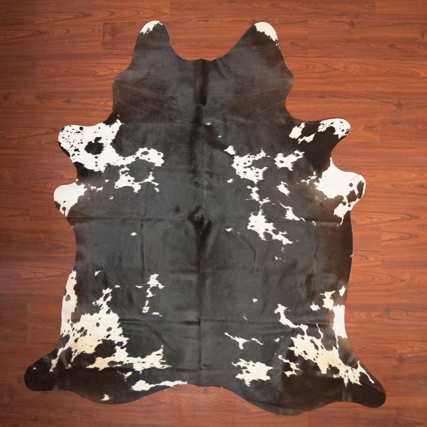 The Nguni Guy Nguni cowhide African decor Authentic cowhide Home decor Interior design Unique pattern Hand-selected Premium quality Natural beauty Exotic rug Genuine hide Statement piece Contemporary style Ethically sourced Sustainable decor Versatile accent Luxury rug Designer piece Modern aesthetic High-end craftsmanship Timeless elegance Designer home accents