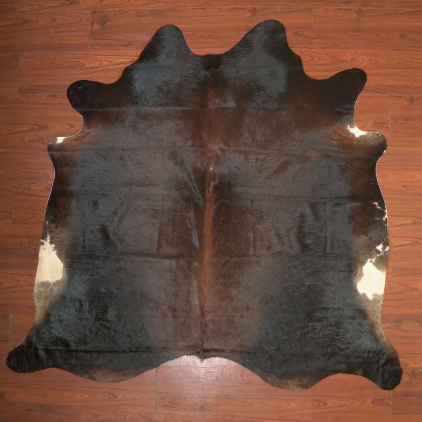 The Nguni Guy Nguni cowhide African decor Authentic cowhide Home decor Interior design Unique pattern Hand-selected Premium quality Natural beauty Exotic rug Genuine hide Statement piece Contemporary style Ethically sourced Sustainable decor Versatile accent Luxury rug Designer piece Modern aesthetic High-end craftsmanship Timeless elegance Designer home accents