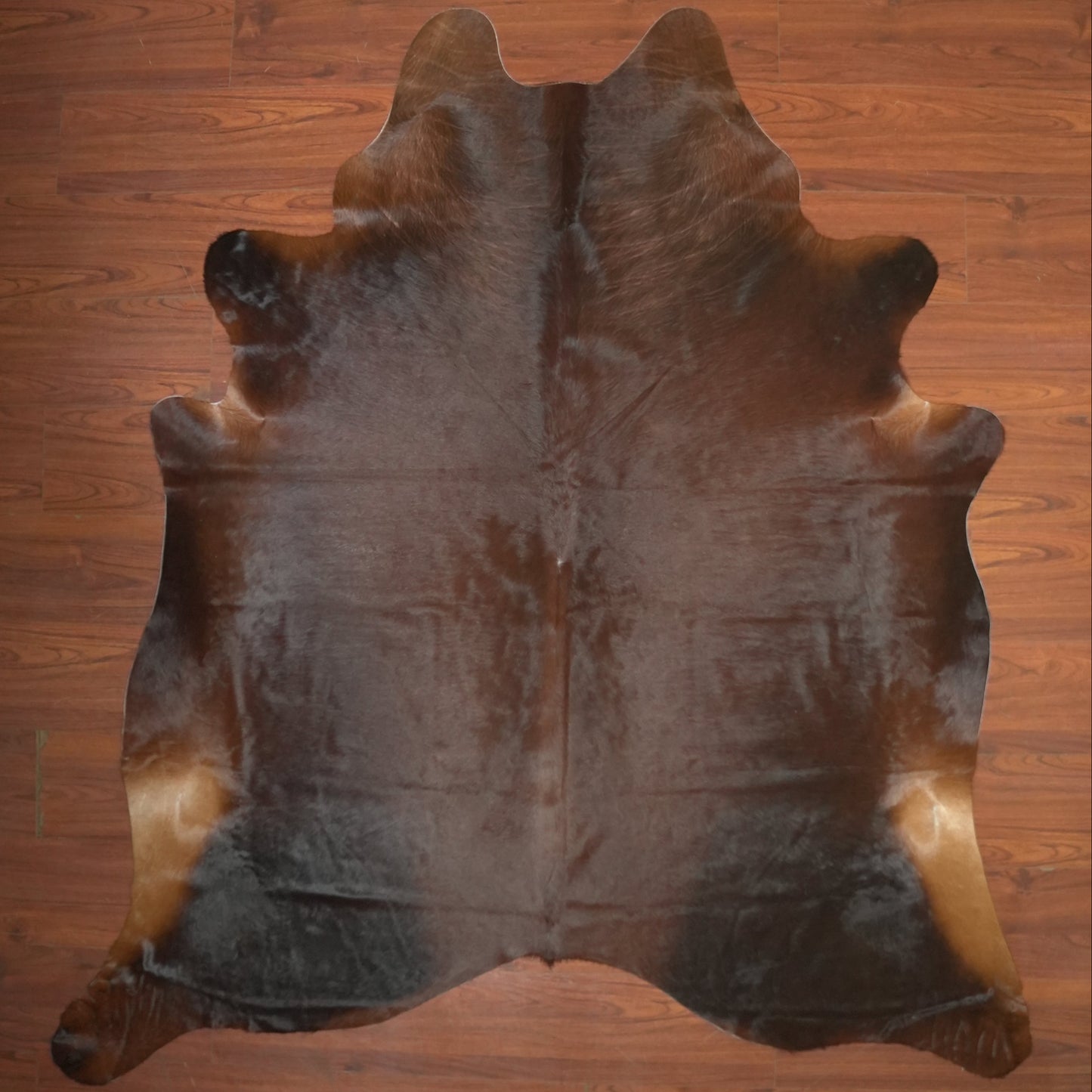 The Nguni Guy Nguni cowhide African decor Authentic cowhide Home decor Interior design Unique pattern Hand-selected Premium quality Natural beauty Exotic rug Genuine hide Statement piece Contemporary style Ethically sourced Sustainable decor Versatile accent Luxury rug Designer piece Modern aesthetic High-end craftsmanship Timeless elegance Designer home accents