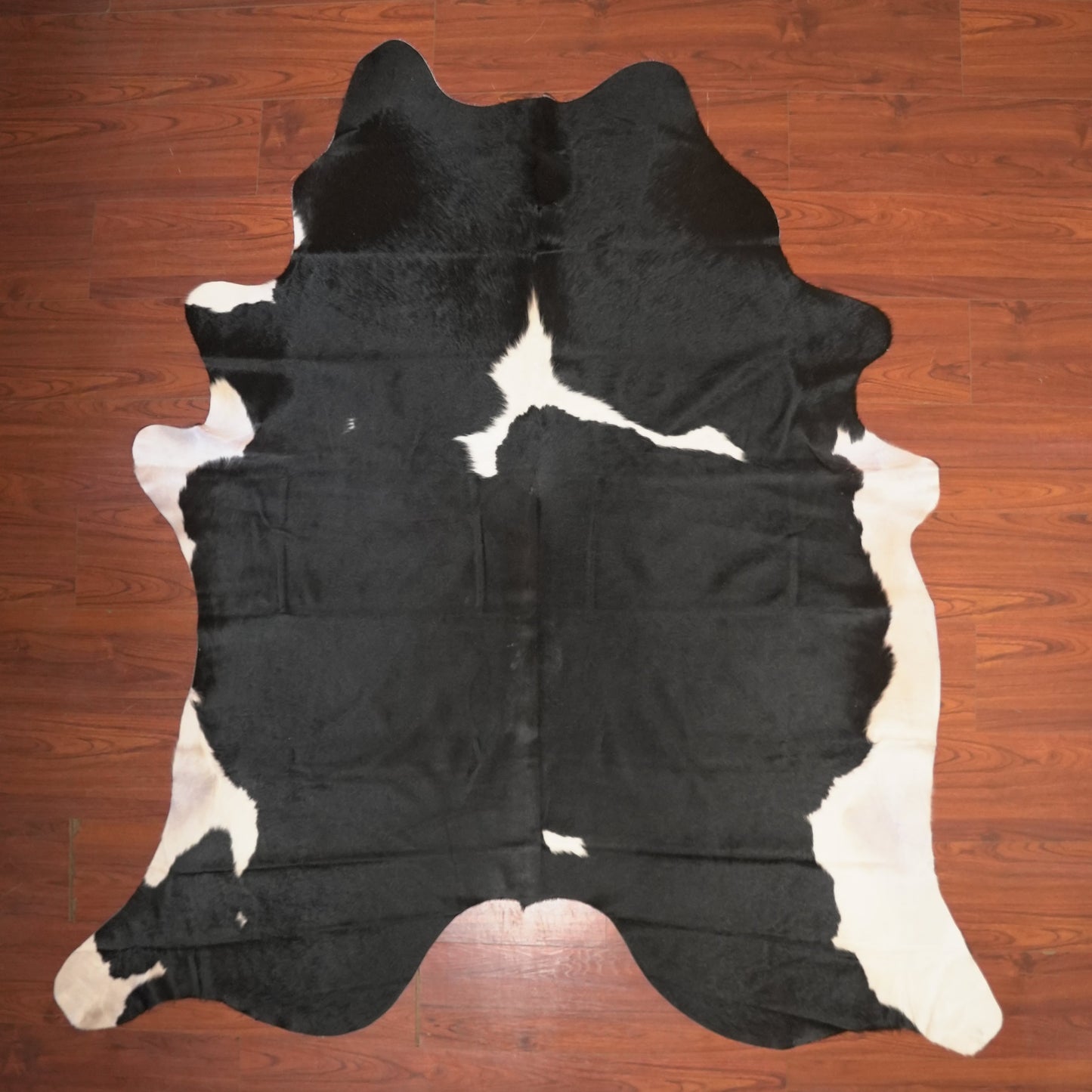 The Nguni Guy Nguni cowhide African decor Authentic cowhide Home decor Interior design Unique pattern Hand-selected Premium quality Natural beauty Exotic rug Genuine hide Statement piece Contemporary style Ethically sourced Sustainable decor Versatile accent Luxury rug Designer piece Modern aesthetic High-end craftsmanship Timeless elegance Designer home accents