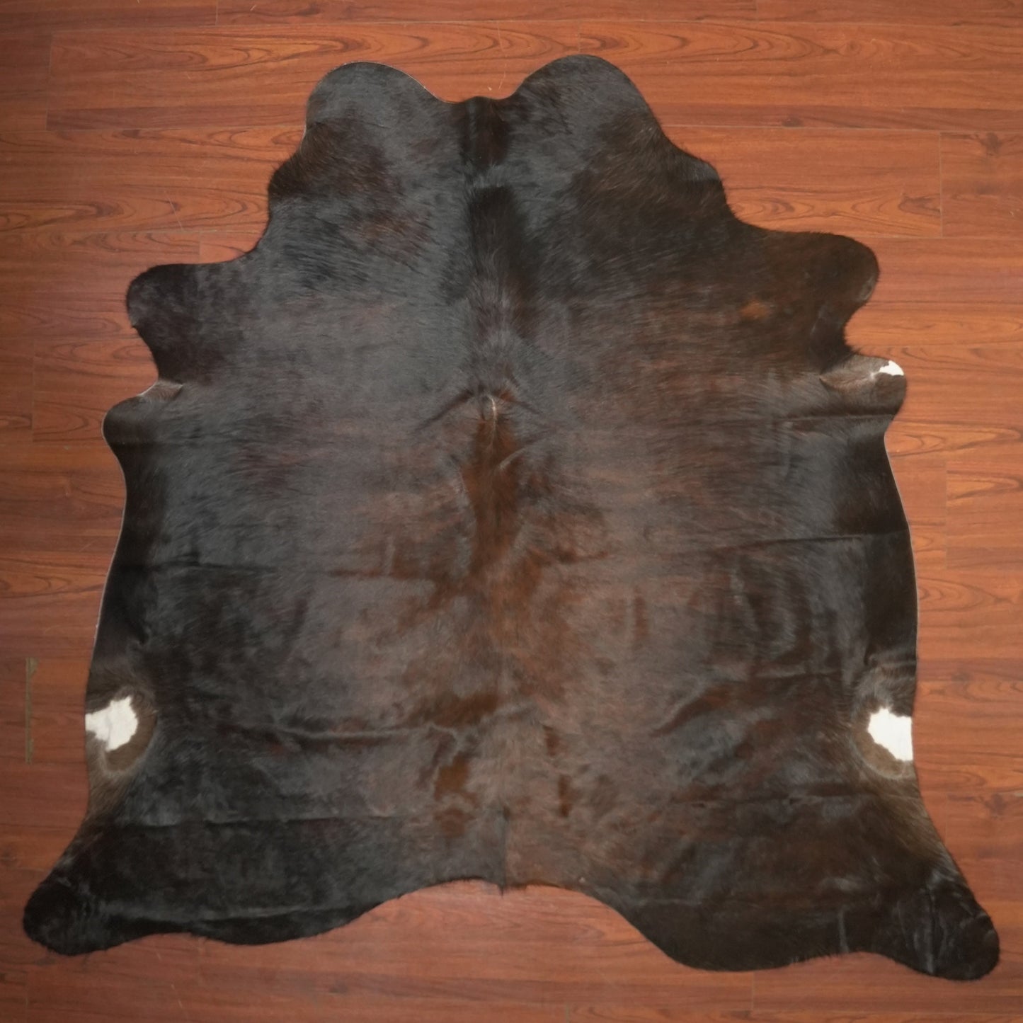 The Nguni Guy Nguni cowhide African decor Authentic cowhide Home decor Interior design Unique pattern Hand-selected Premium quality Natural beauty Exotic rug Genuine hide Statement piece Contemporary style Ethically sourced Sustainable decor Versatile accent Luxury rug Designer piece Modern aesthetic High-end craftsmanship Timeless elegance Designer home accents