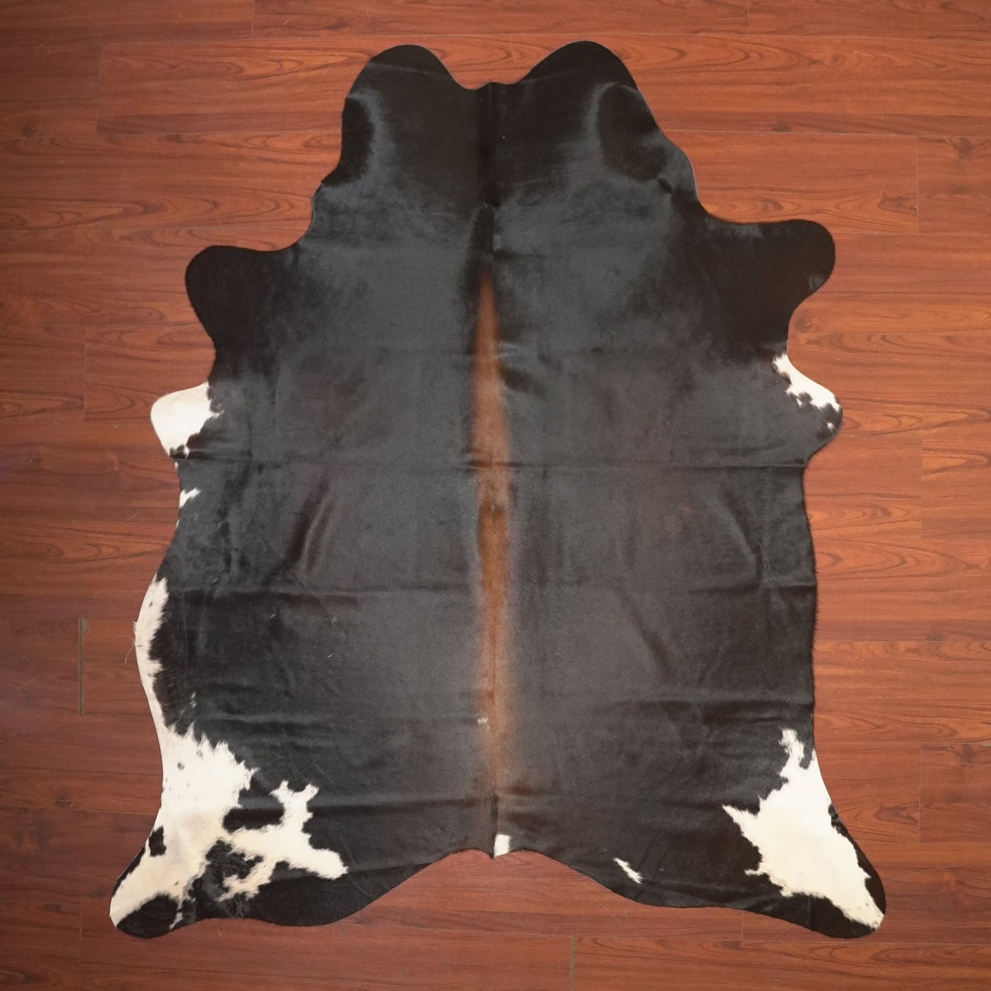The Nguni Guy Nguni cowhide African decor Authentic cowhide Home decor Interior design Unique pattern Hand-selected Premium quality Natural beauty Exotic rug Genuine hide Statement piece Contemporary style Ethically sourced Sustainable decor Versatile accent Luxury rug Designer piece Modern aesthetic High-end craftsmanship Timeless elegance Designer home accents