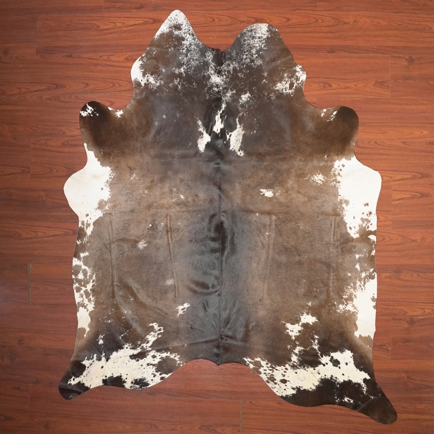 The Nguni Guy Nguni cowhide African decor Authentic cowhide Home decor Interior design Unique pattern Hand-selected Premium quality Natural beauty Exotic rug Genuine hide Statement piece Contemporary style Ethically sourced Sustainable decor Versatile accent Luxury rug Designer piece Modern aesthetic High-end craftsmanship Timeless elegance Designer home accents