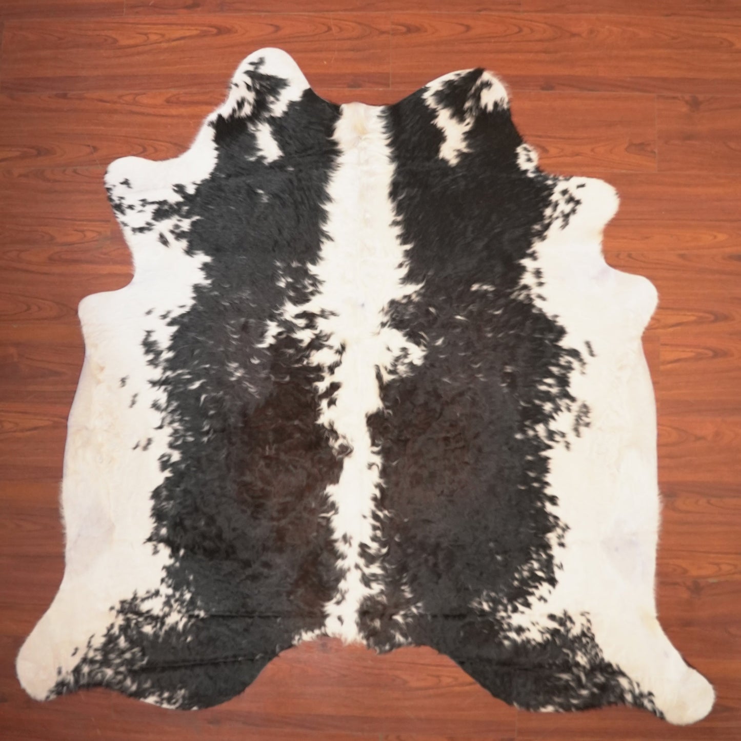The Nguni Guy Nguni cowhide African decor Authentic cowhide Home decor Interior design Unique pattern Hand-selected Premium quality Natural beauty Exotic rug Genuine hide Statement piece Contemporary style Ethically sourced Sustainable decor Versatile accent Luxury rug Designer piece Modern aesthetic High-end craftsmanship Timeless elegance Designer home accents