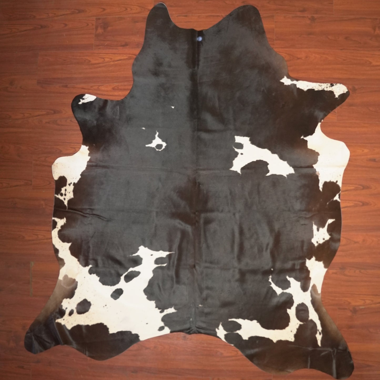 The Nguni Guy Nguni cowhide African decor Authentic cowhide Home decor Interior design Unique pattern Hand-selected Premium quality Natural beauty Exotic rug Genuine hide Statement piece Contemporary style Ethically sourced Sustainable decor Versatile accent Luxury rug Designer piece Modern aesthetic High-end craftsmanship Timeless elegance Designer home accents