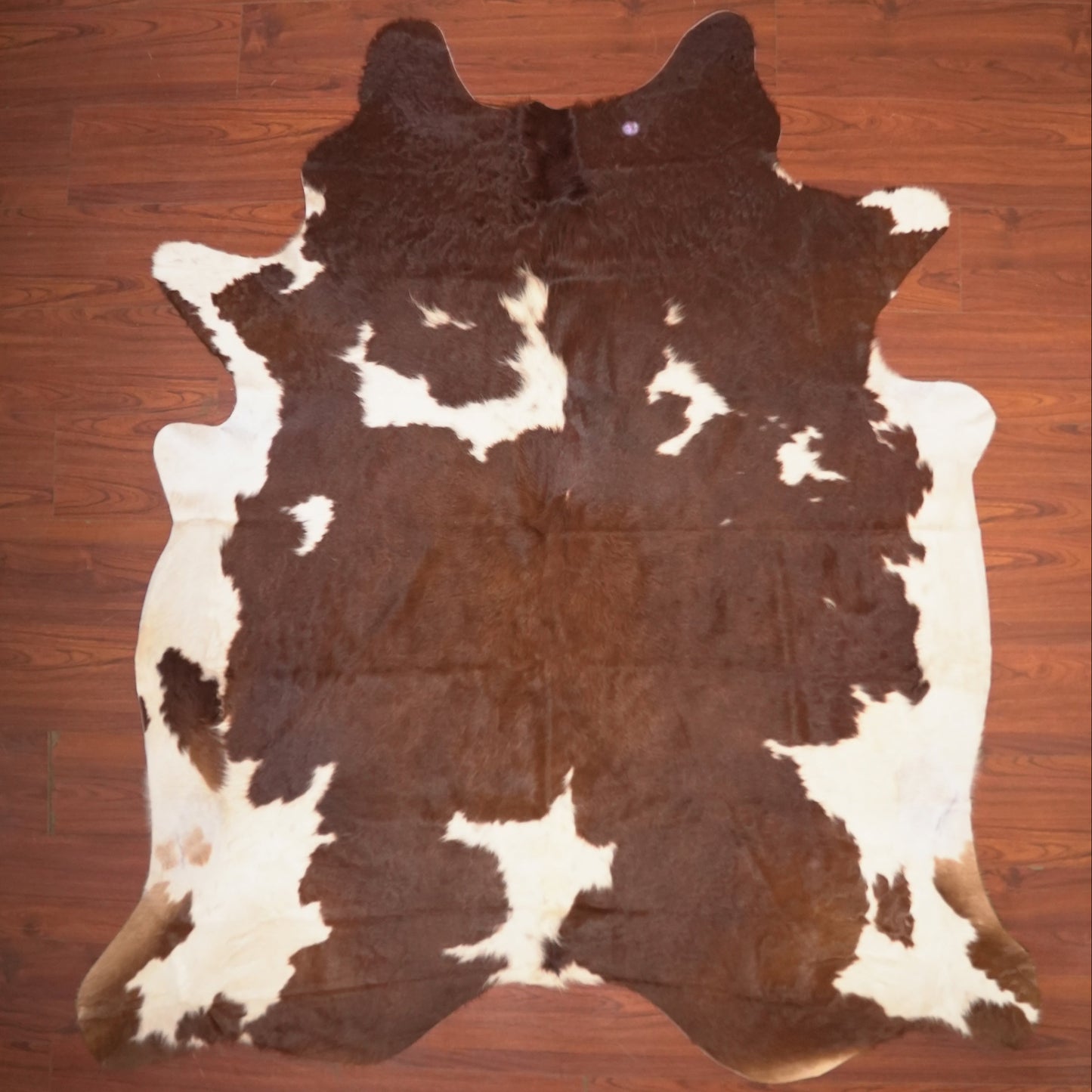 The Nguni Guy Nguni cowhide African decor Authentic cowhide Home decor Interior design Unique pattern Hand-selected Premium quality Natural beauty Exotic rug Genuine hide Statement piece Contemporary style Ethically sourced Sustainable decor Versatile accent Luxury rug Designer piece Modern aesthetic High-end craftsmanship Timeless elegance Designer home accents