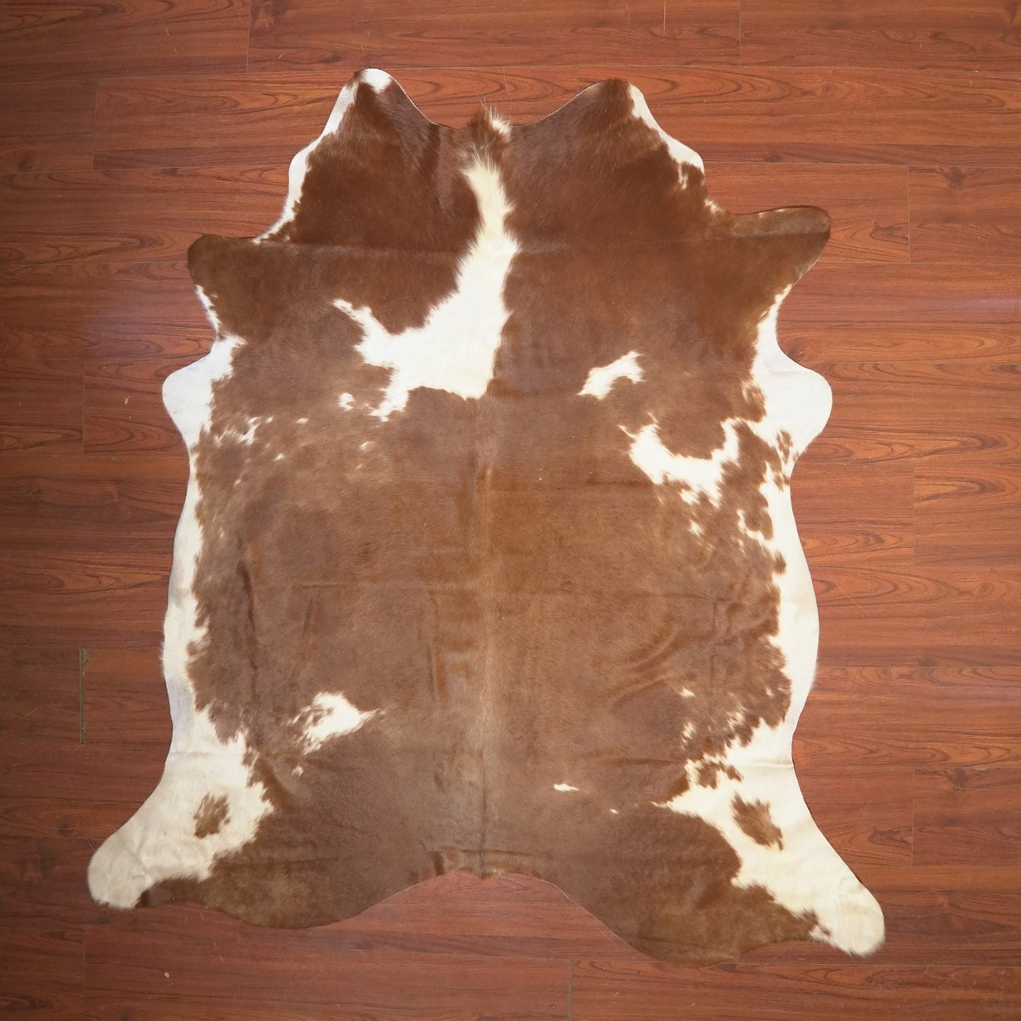 The Nguni Guy Nguni cowhide African decor Authentic cowhide Home decor Interior design Unique pattern Hand-selected Premium quality Natural beauty Exotic rug Genuine hide Statement piece Contemporary style Ethically sourced Sustainable decor Versatile accent Luxury rug Designer piece Modern aesthetic High-end craftsmanship Timeless elegance Designer home accents