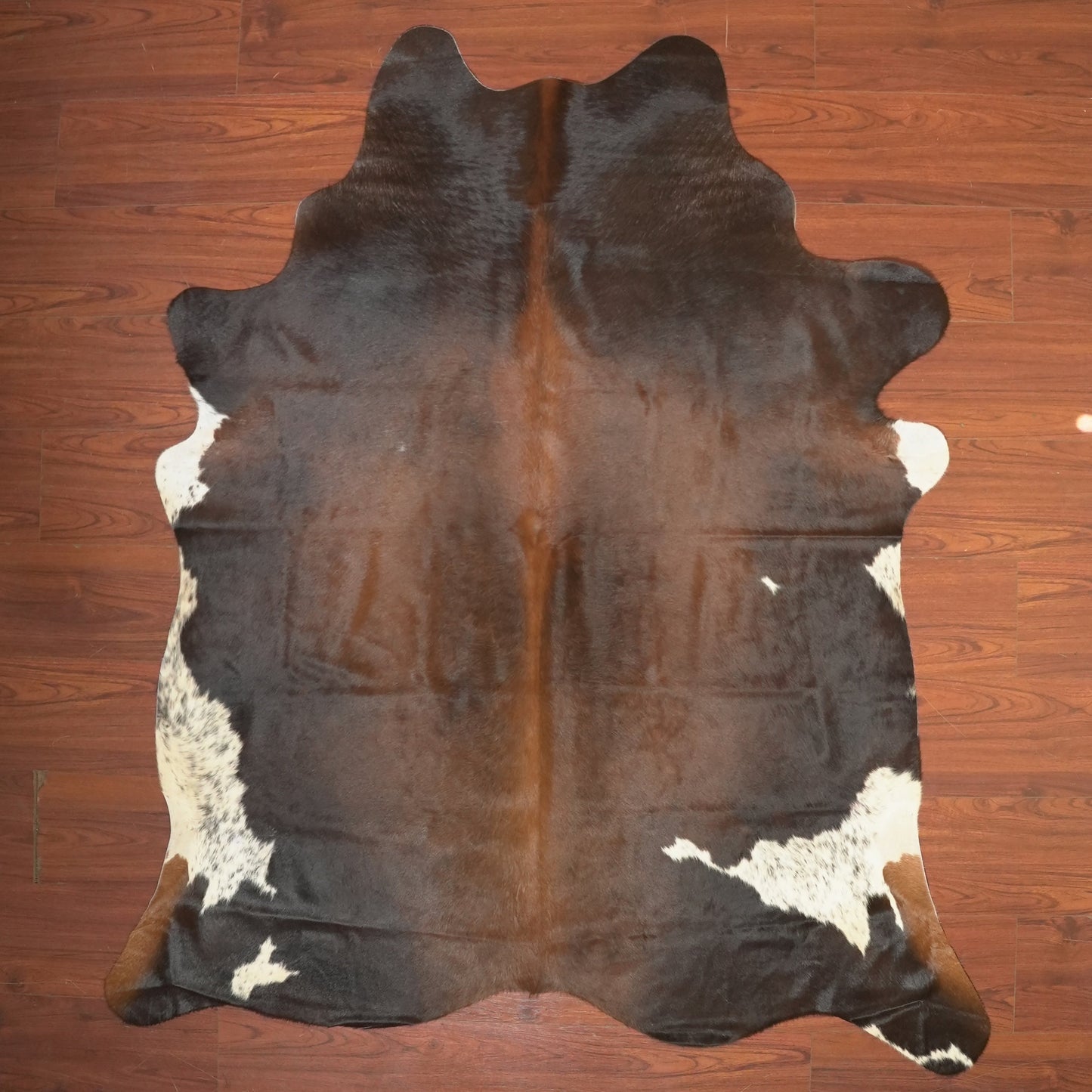 The Nguni Guy Nguni cowhide African decor Authentic cowhide Home decor Interior design Unique pattern Hand-selected Premium quality Natural beauty Exotic rug Genuine hide Statement piece Contemporary style Ethically sourced Sustainable decor Versatile accent Luxury rug Designer piece Modern aesthetic High-end craftsmanship Timeless elegance Designer home accents