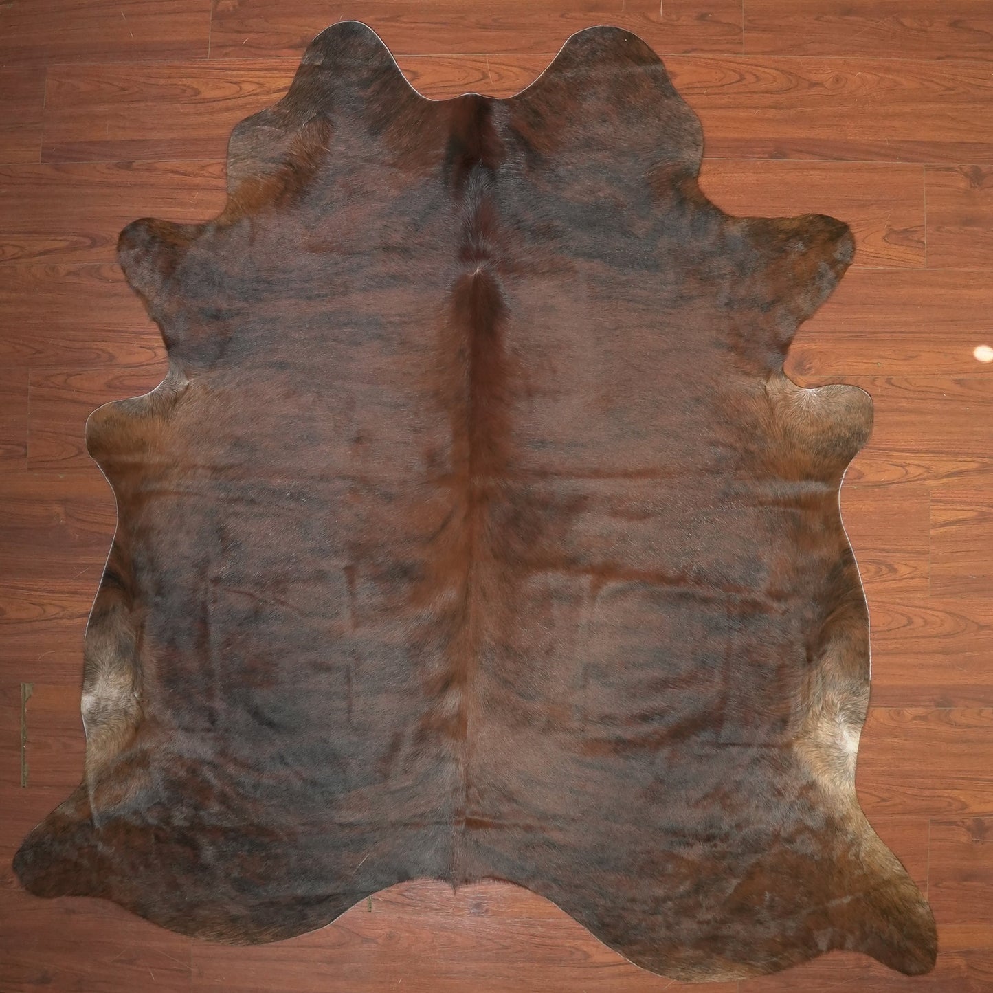 The Nguni Guy Nguni cowhide African decor Authentic cowhide Home decor Interior design Unique pattern Hand-selected Premium quality Natural beauty Exotic rug Genuine hide Statement piece Contemporary style Ethically sourced Sustainable decor Versatile accent Luxury rug Designer piece Modern aesthetic High-end craftsmanship Timeless elegance Designer home accents
