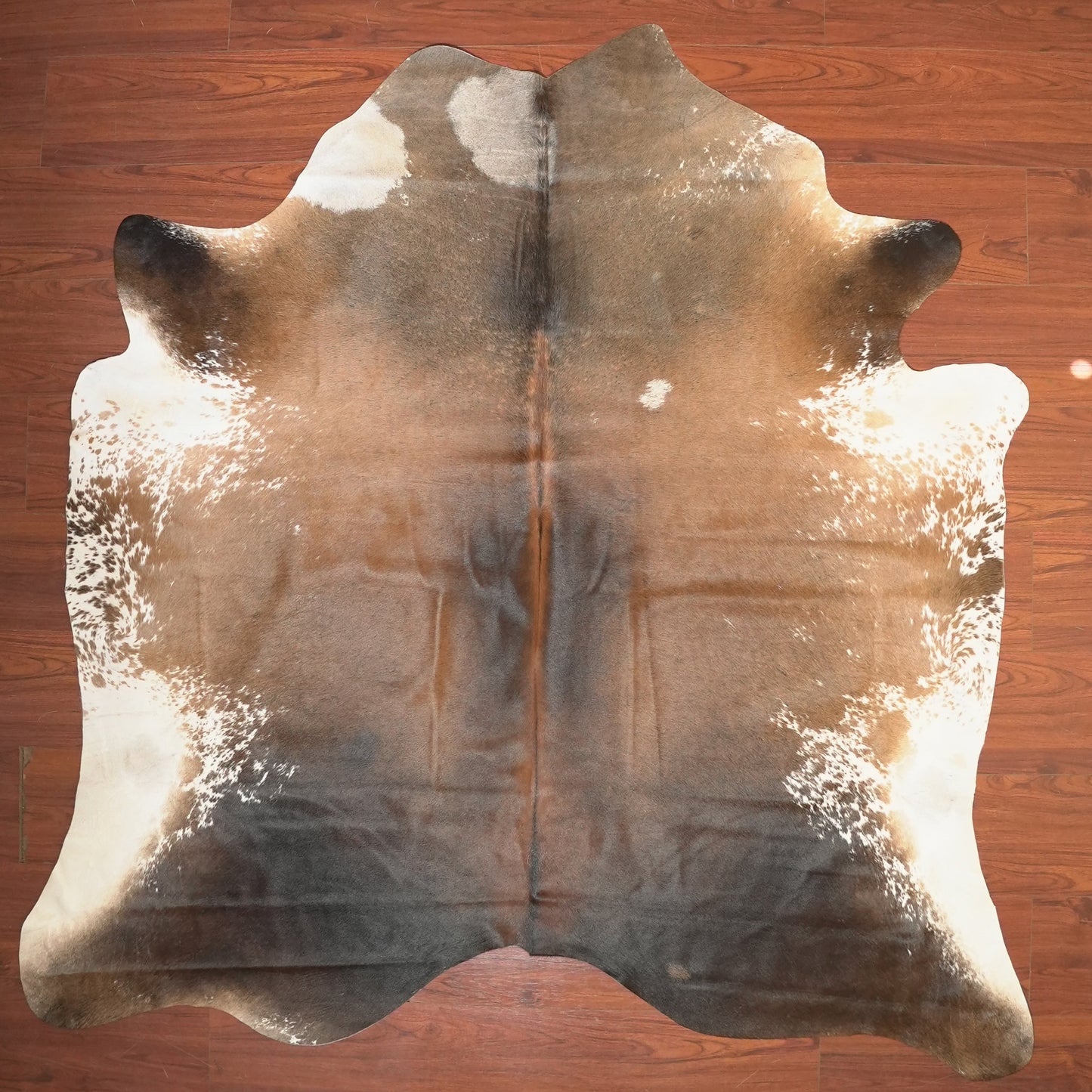 The Nguni Guy Nguni cowhide African decor Authentic cowhide Home decor Interior design Unique pattern Hand-selected Premium quality Natural beauty Exotic rug Genuine hide Statement piece Contemporary style Ethically sourced Sustainable decor Versatile accent Luxury rug Designer piece Modern aesthetic High-end craftsmanship Timeless elegance Designer home accents