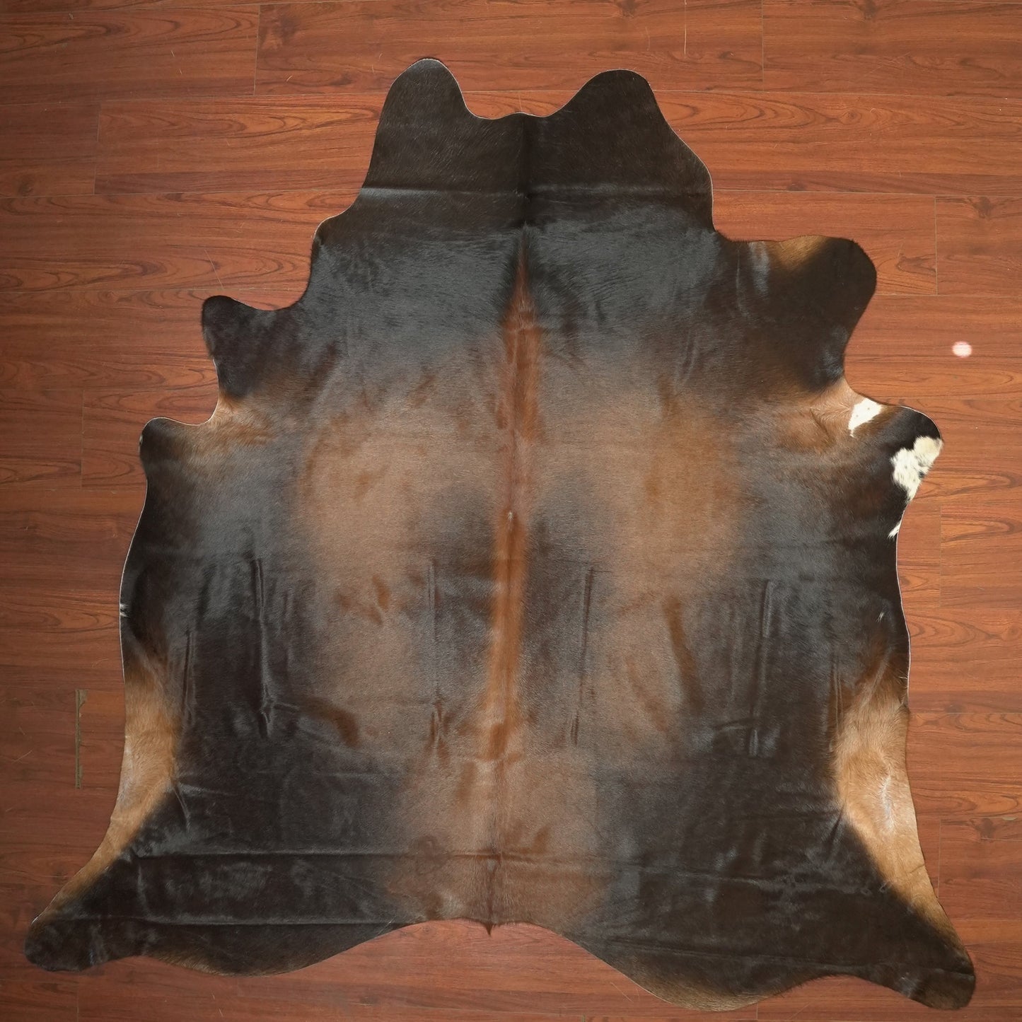 The Nguni Guy Nguni cowhide African decor Authentic cowhide Home decor Interior design Unique pattern Hand-selected Premium quality Natural beauty Exotic rug Genuine hide Statement piece Contemporary style Ethically sourced Sustainable decor Versatile accent Luxury rug Designer piece Modern aesthetic High-end craftsmanship Timeless elegance Designer home accents