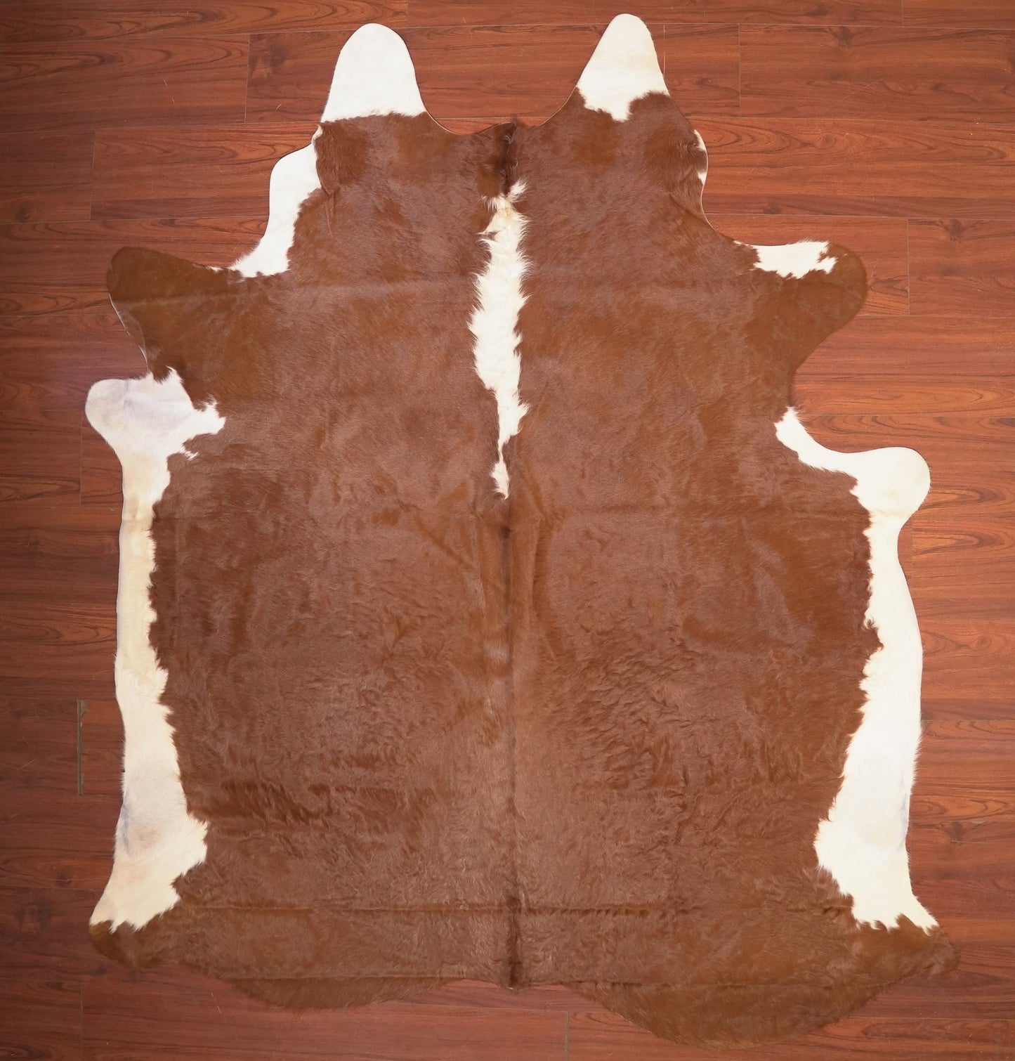 The Nguni Guy Nguni cowhide African decor Authentic cowhide Home decor Interior design Unique pattern Hand-selected Premium quality Natural beauty Exotic rug Genuine hide Statement piece Contemporary style Ethically sourced Sustainable decor Versatile accent Luxury rug Designer piece Modern aesthetic High-end craftsmanship Timeless elegance Designer home accents